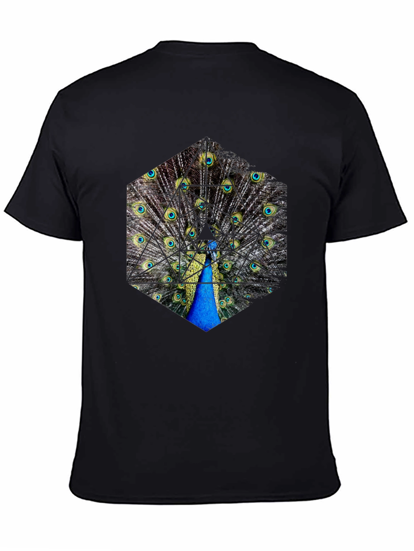 Peacock Feather Hexagon Graphic T-Shirt - Unique Design