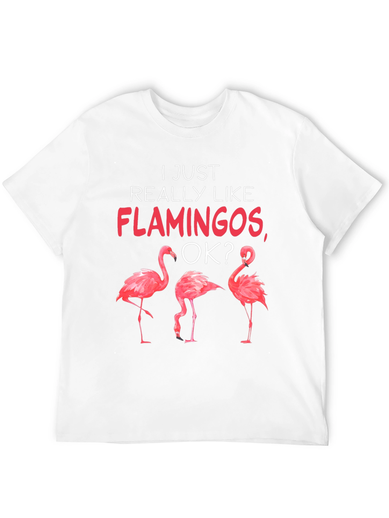 Flamingo Graphic Tee - I Just Really Like Flamingos