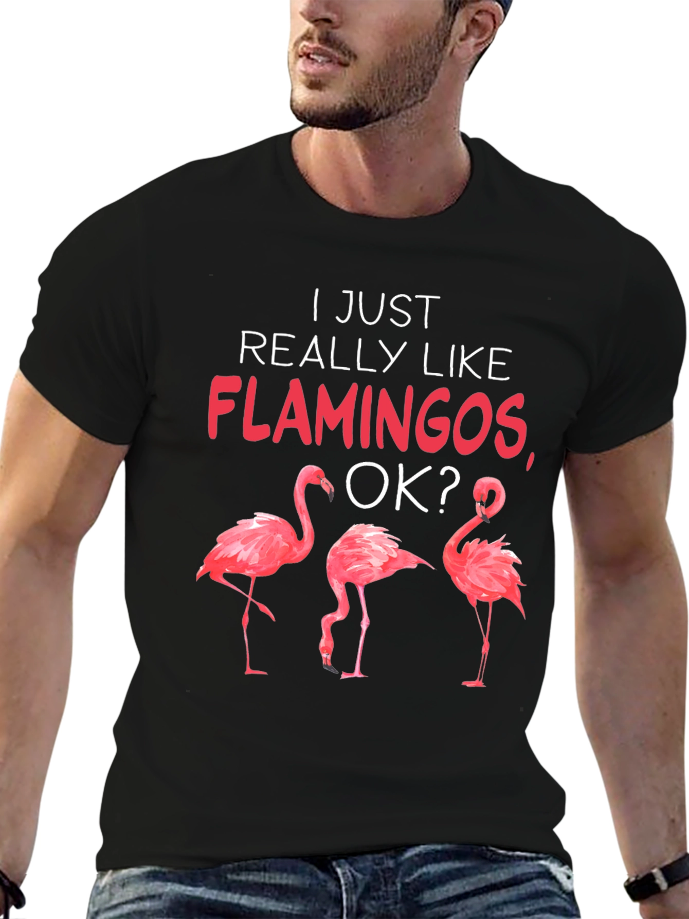 Flamingo Graphic Tee - I Just Really Like Flamingos
