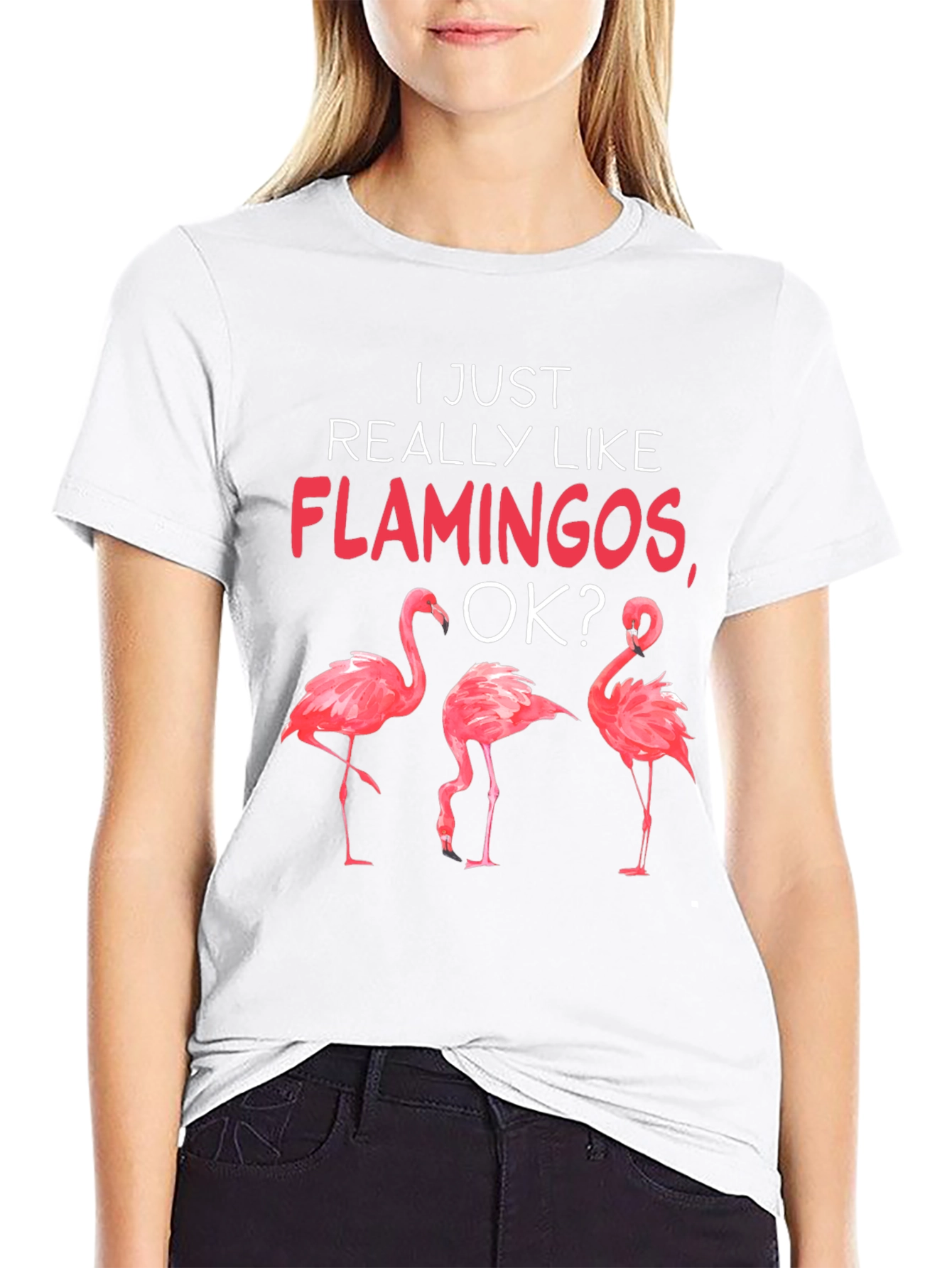Flamingo Graphic Tee - I Just Really Like Flamingos