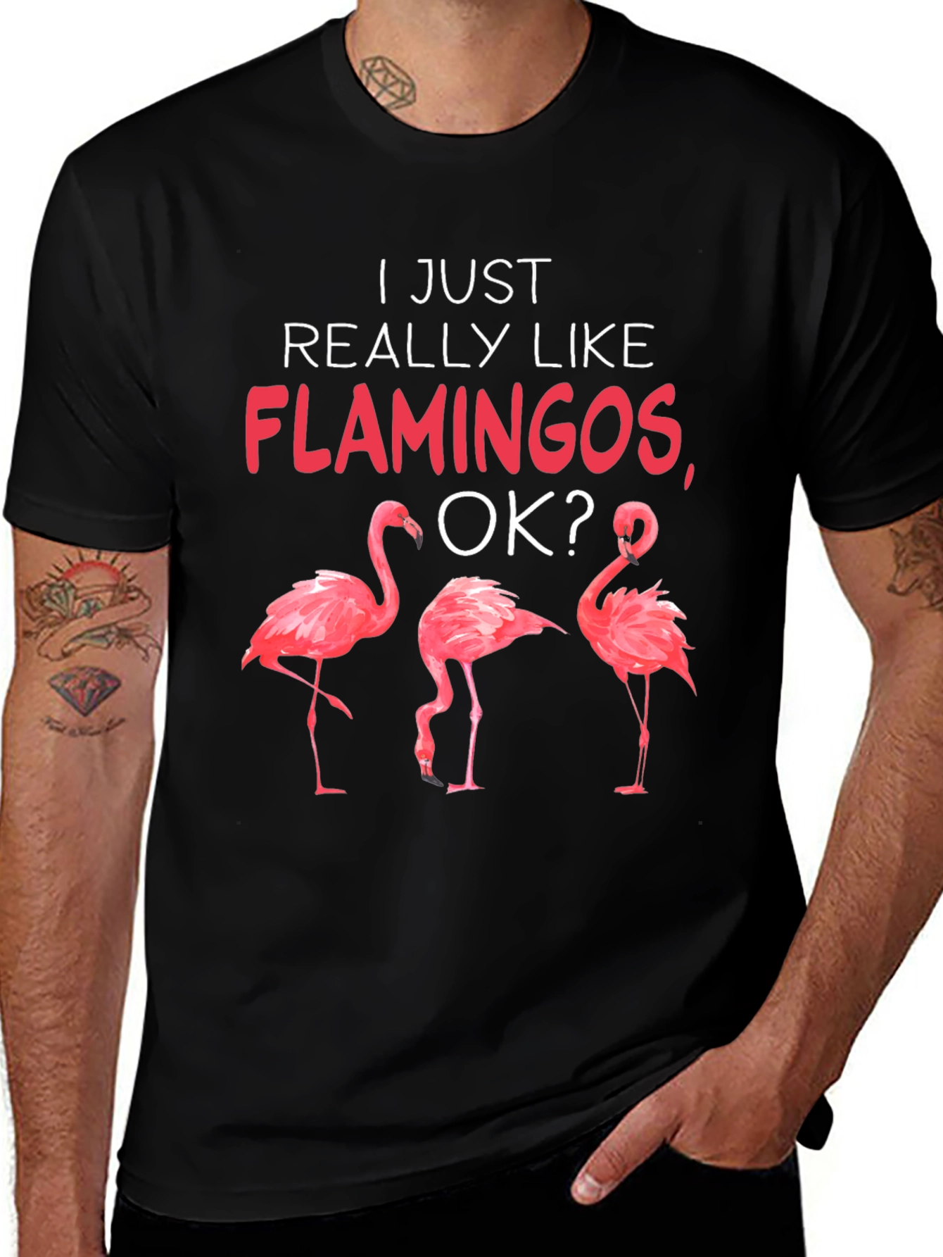 Flamingo Graphic Tee - I Just Really Like Flamingos