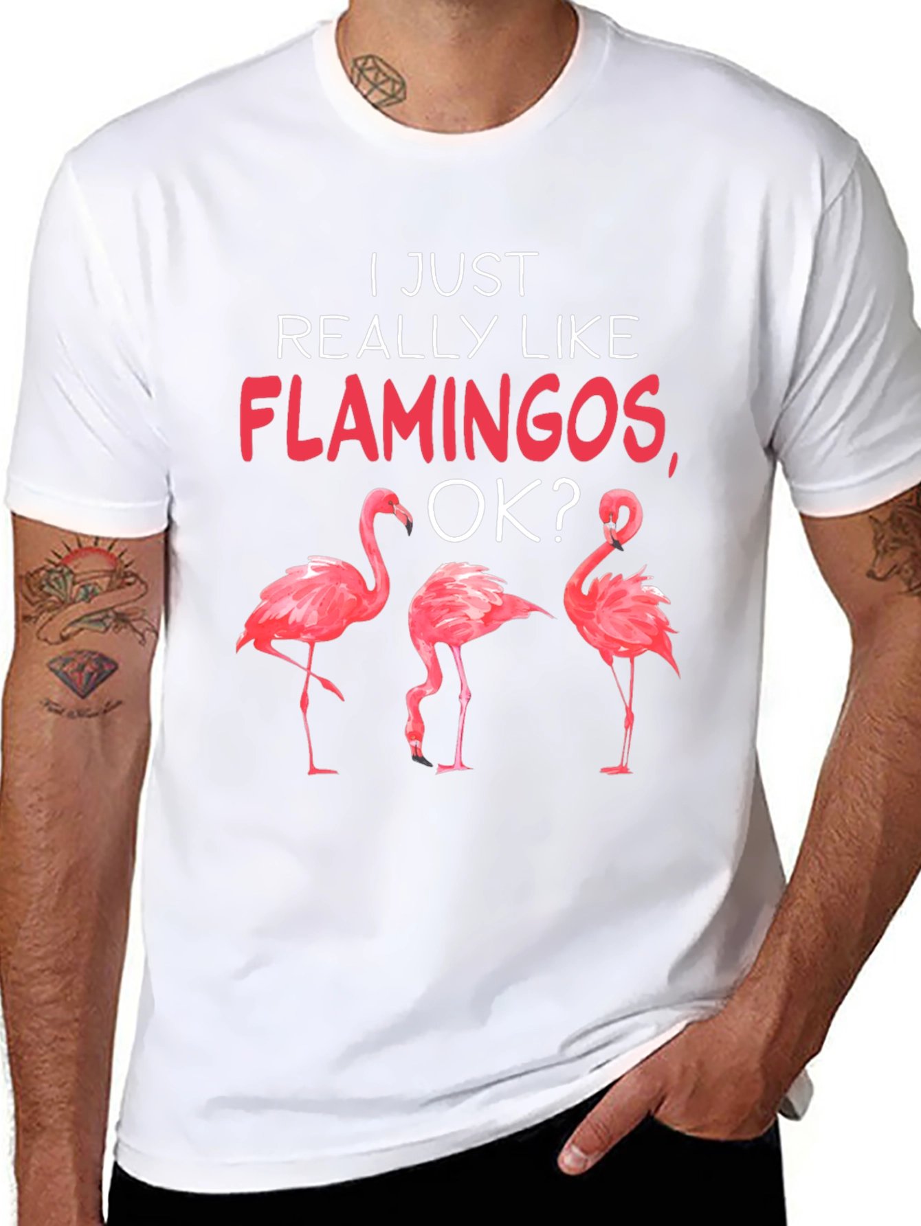 Flamingo Graphic Tee - I Just Really Like Flamingos