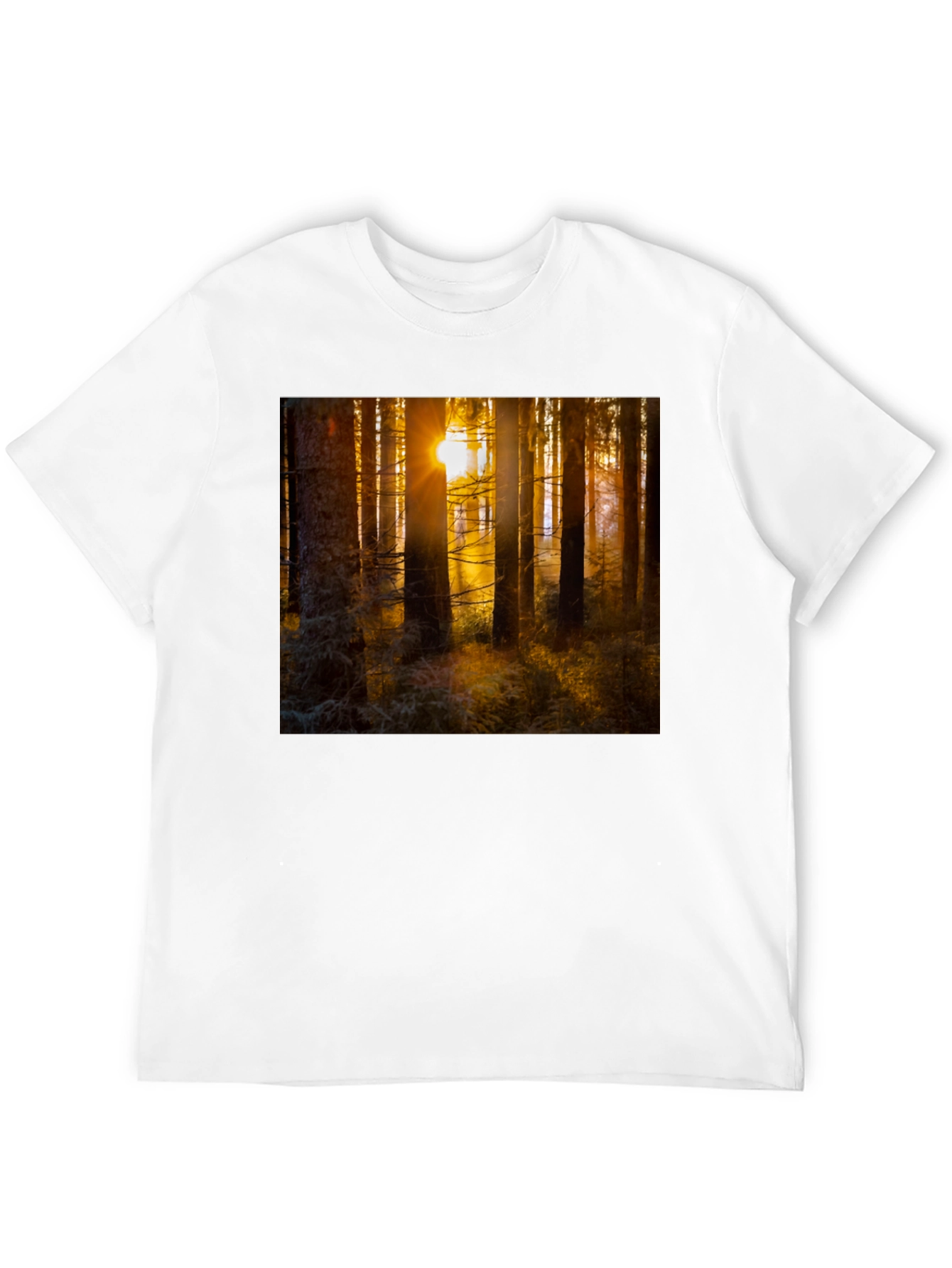 Forest Sun T-Shirt - Nature Inspired Apparel