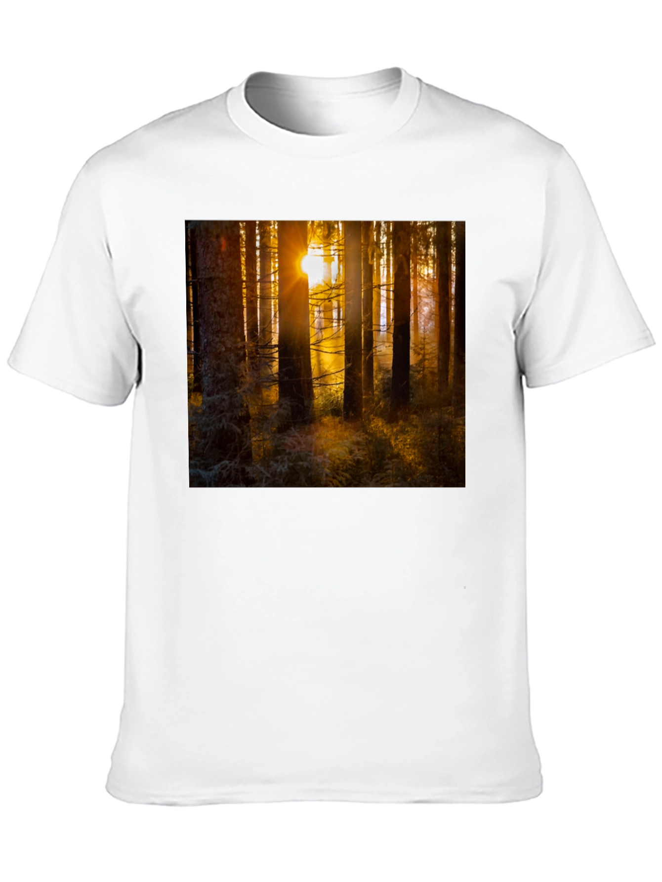 Forest Sun T-Shirt - Nature Inspired Apparel