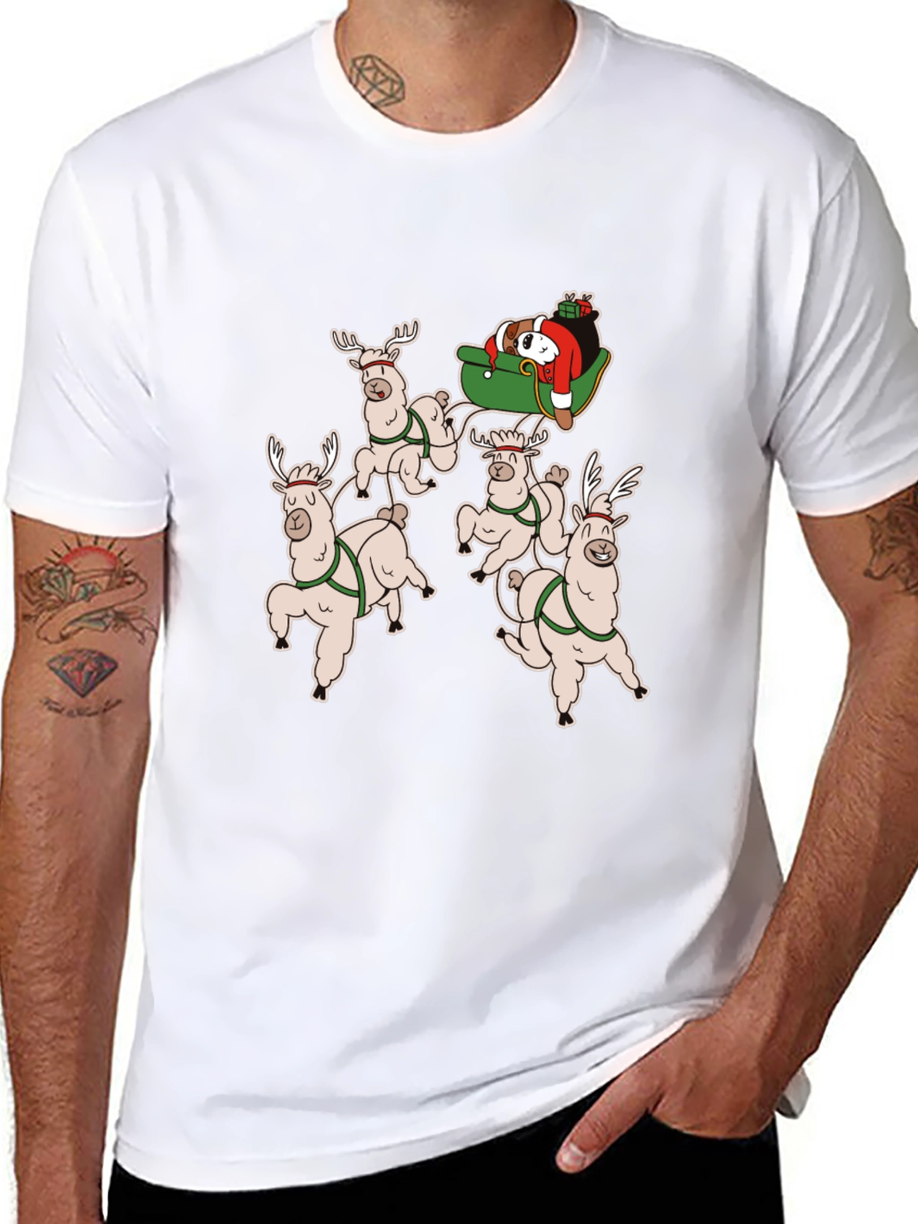 Holiday Llama Sleigh Ride T-Shirt