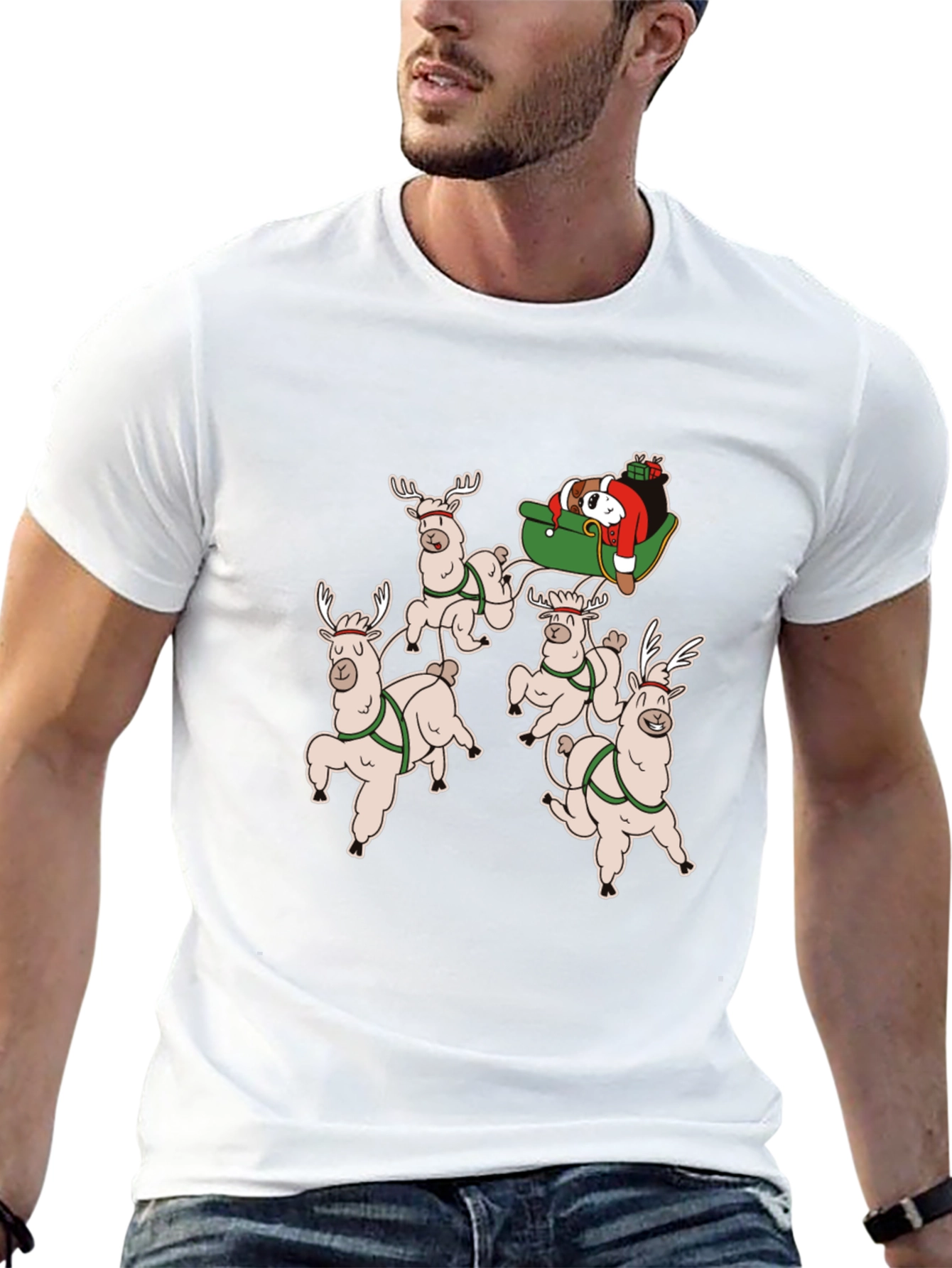 Holiday Llama Sleigh Ride T-Shirt