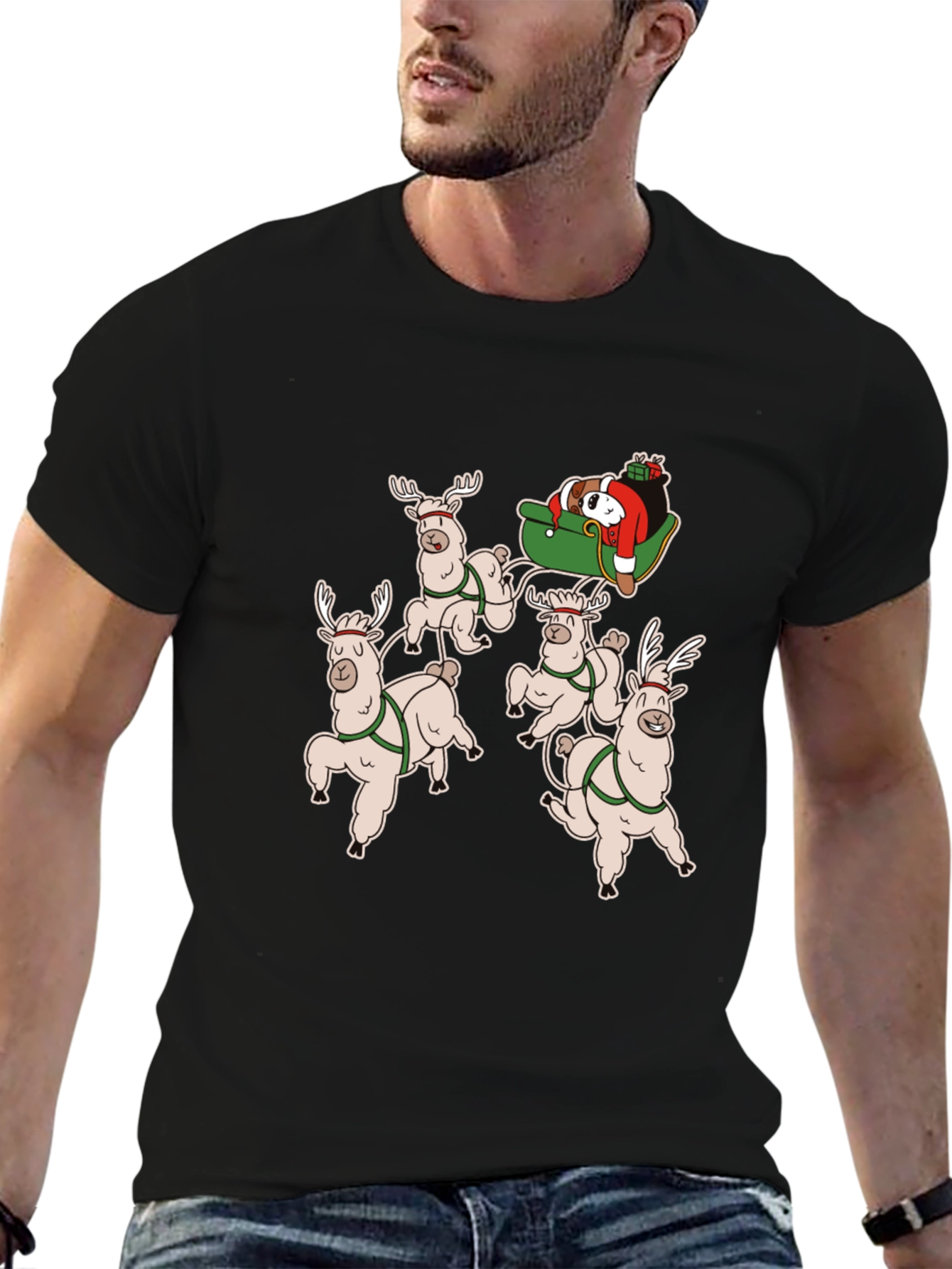 Holiday Llama Sleigh Ride T-Shirt