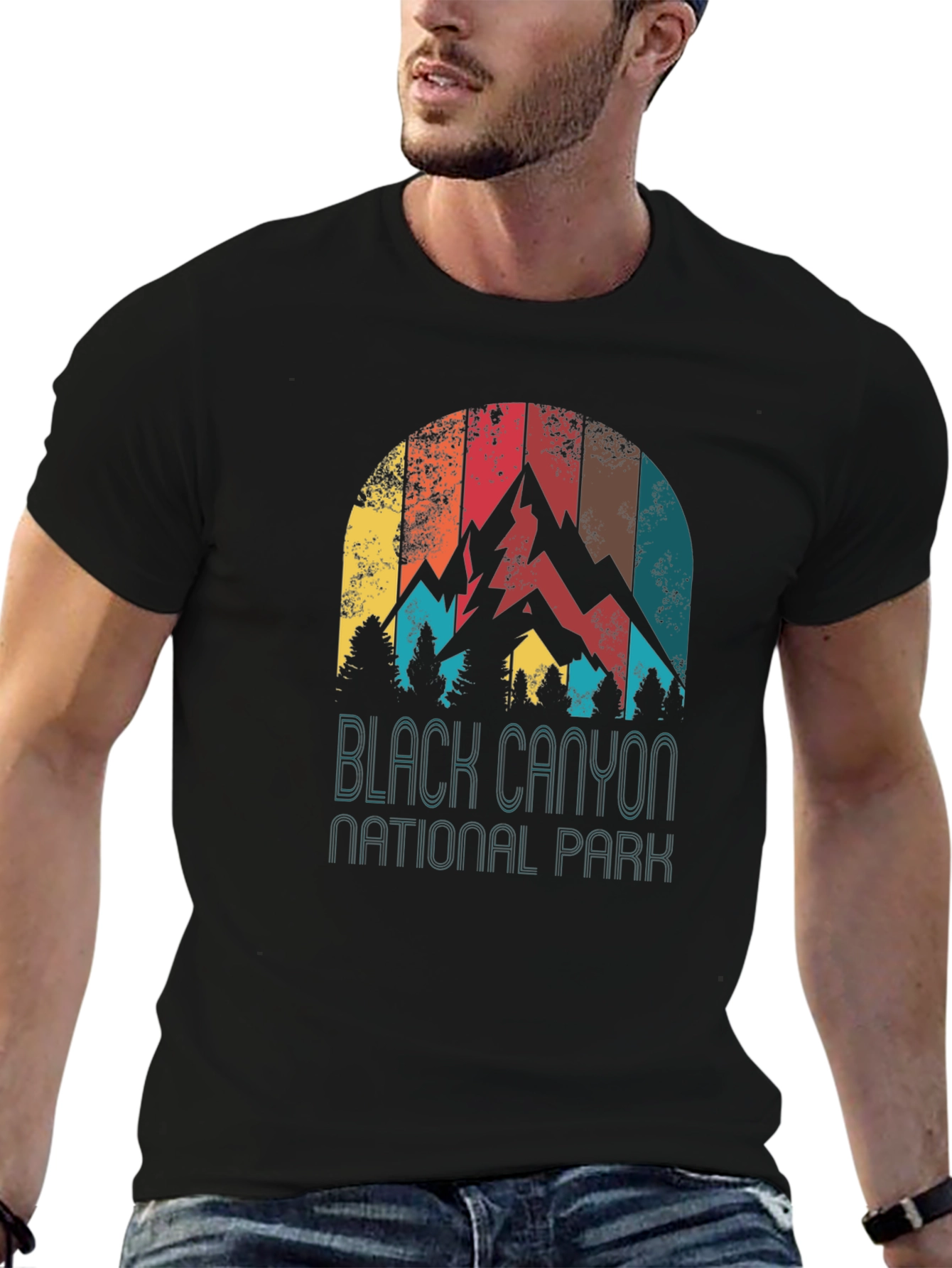 Black Canyon National Park Retro Graphic Tee