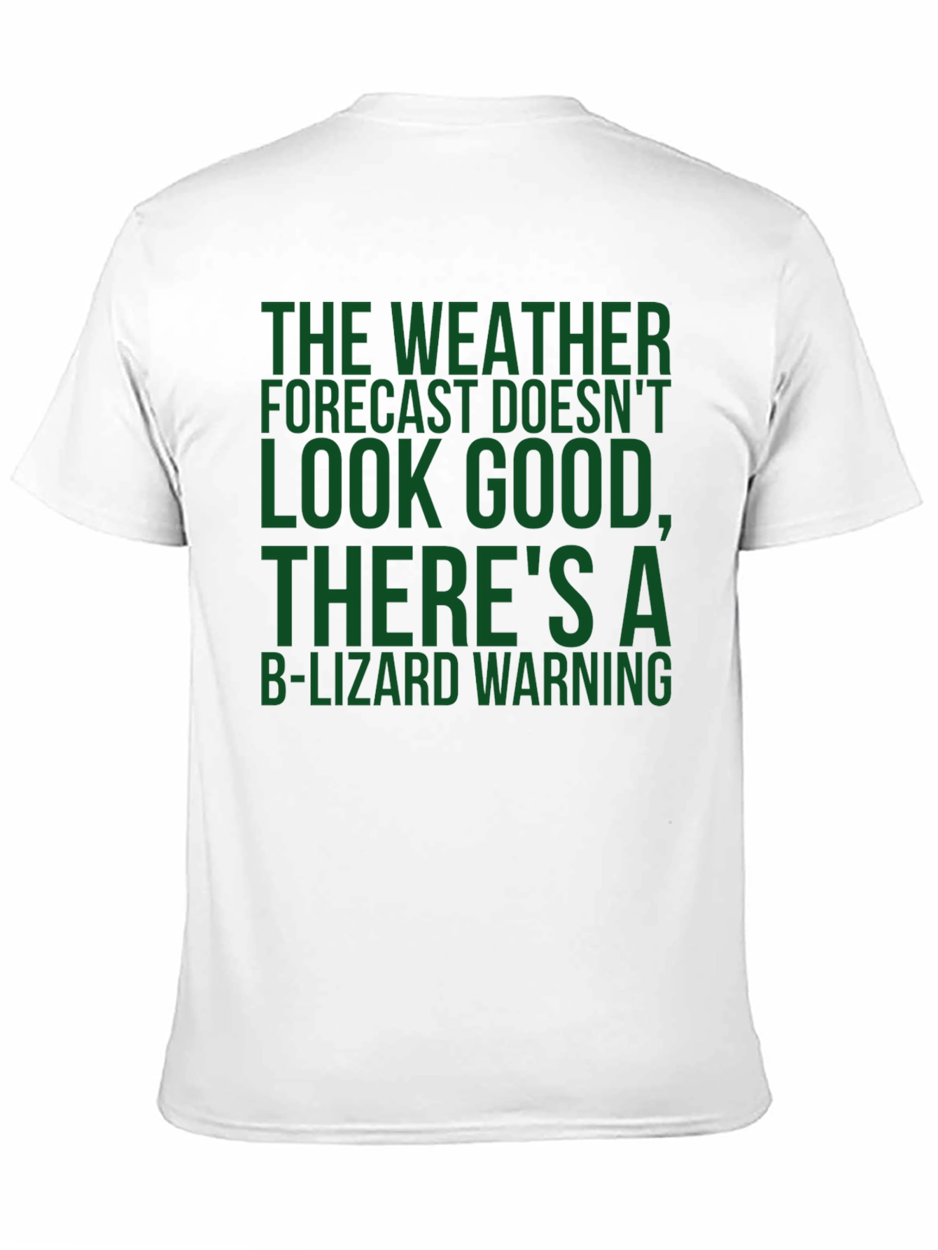B-Lizard Warning Novelty T-Shirt