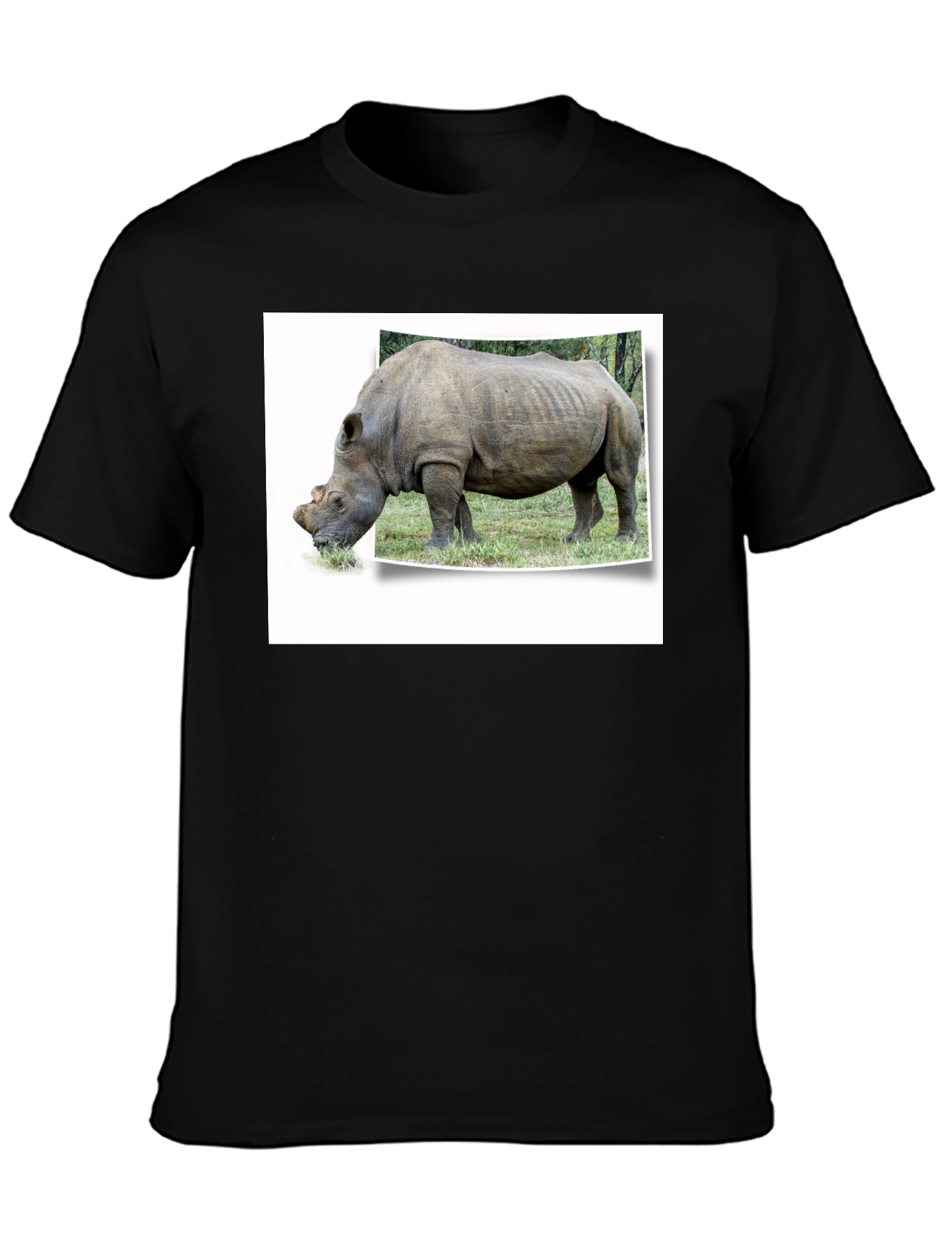 Rhinoceros Graphic Print Black T-Shirt