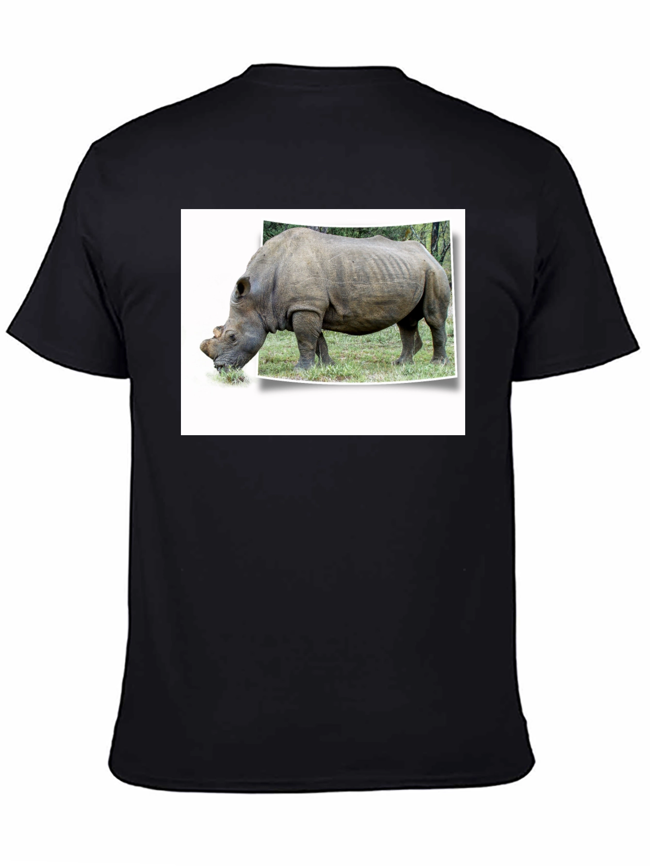 Rhinoceros Graphic Print Black T-Shirt