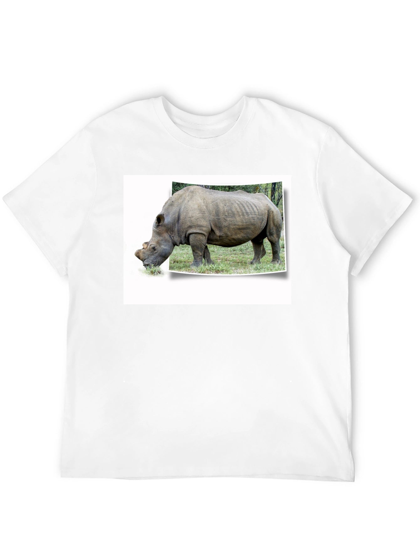 Rhinoceros Graphic Print Black T-Shirt