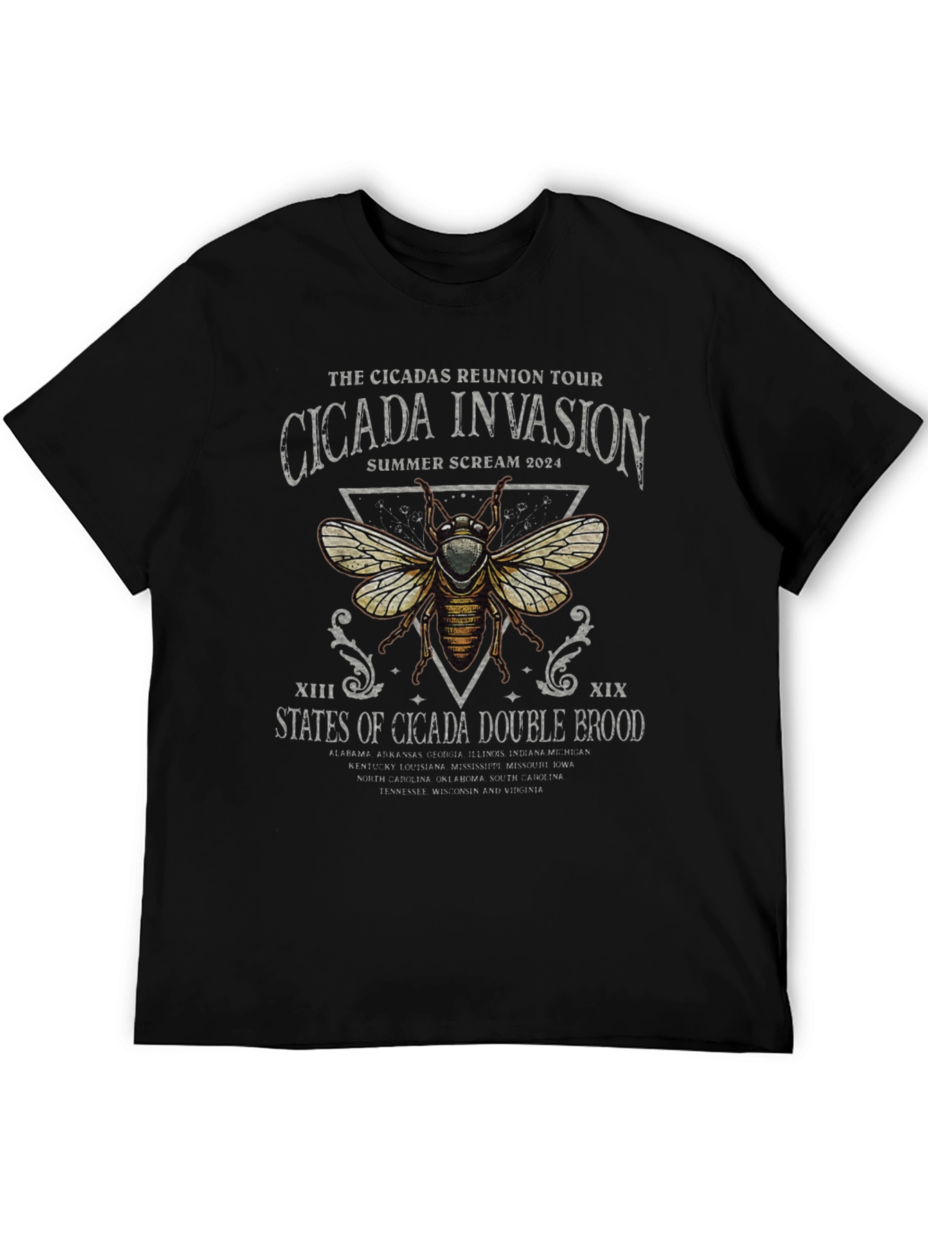 Cicada Invasion 2024 Reunion Tour T-Shirt