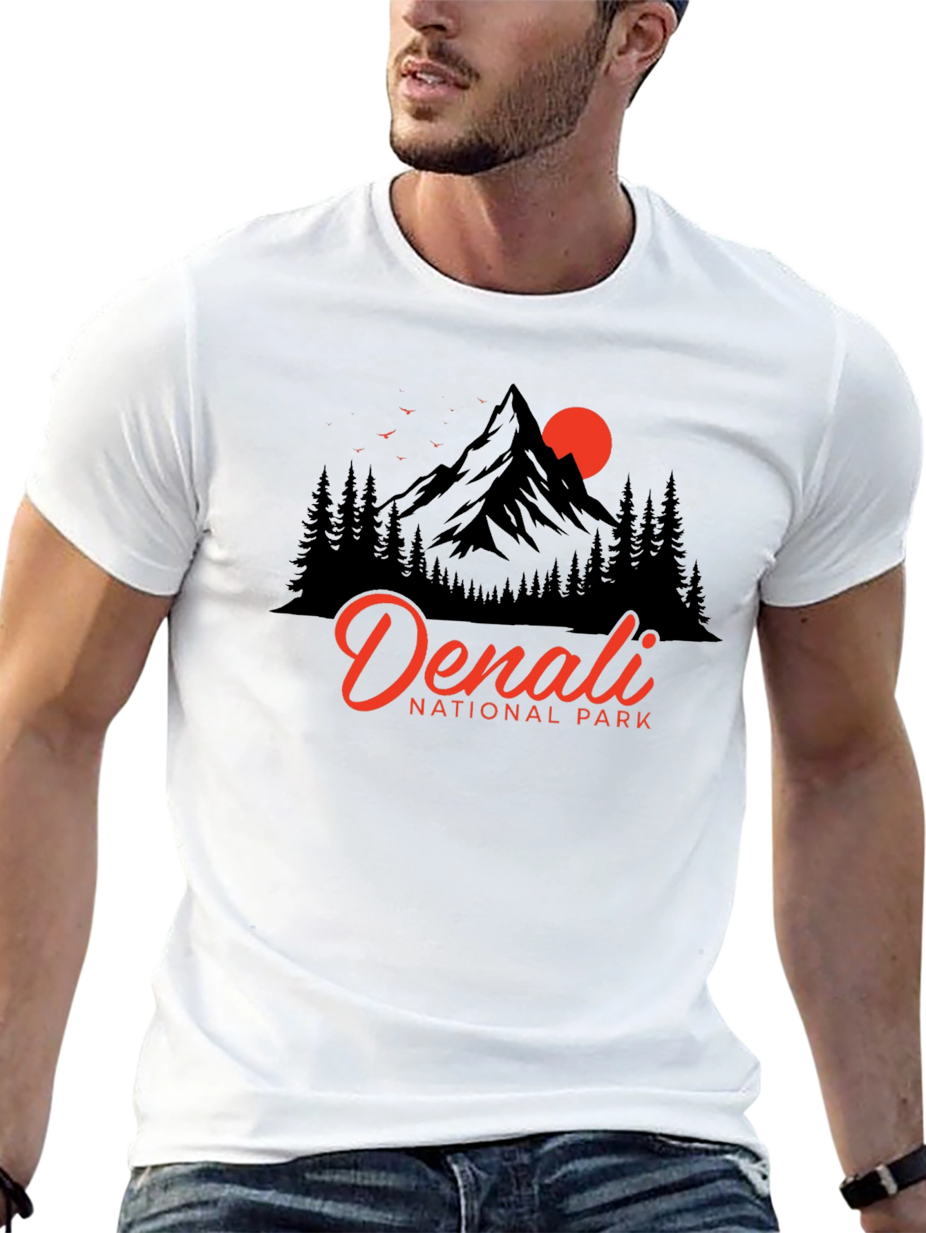 Denali National Park Graphic T-Shirt