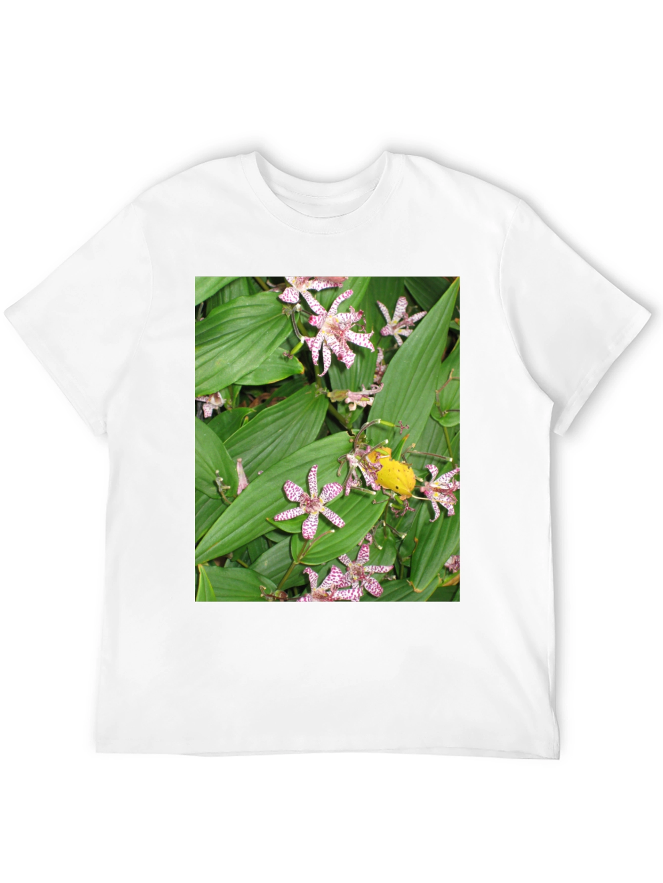 Floral Print Graphic Tee