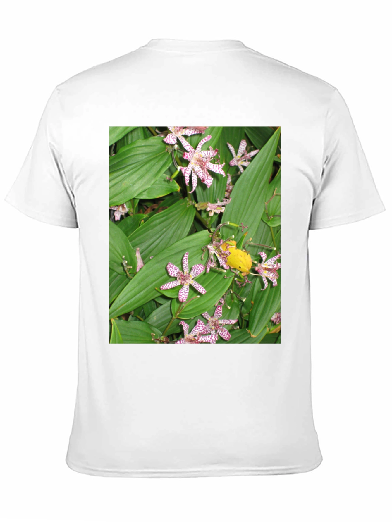Floral Print Graphic Tee