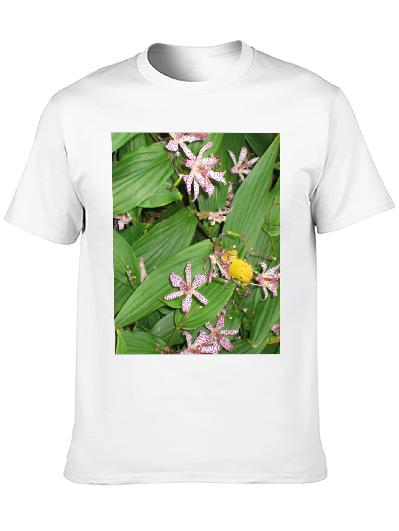 Floral Print Graphic Tee