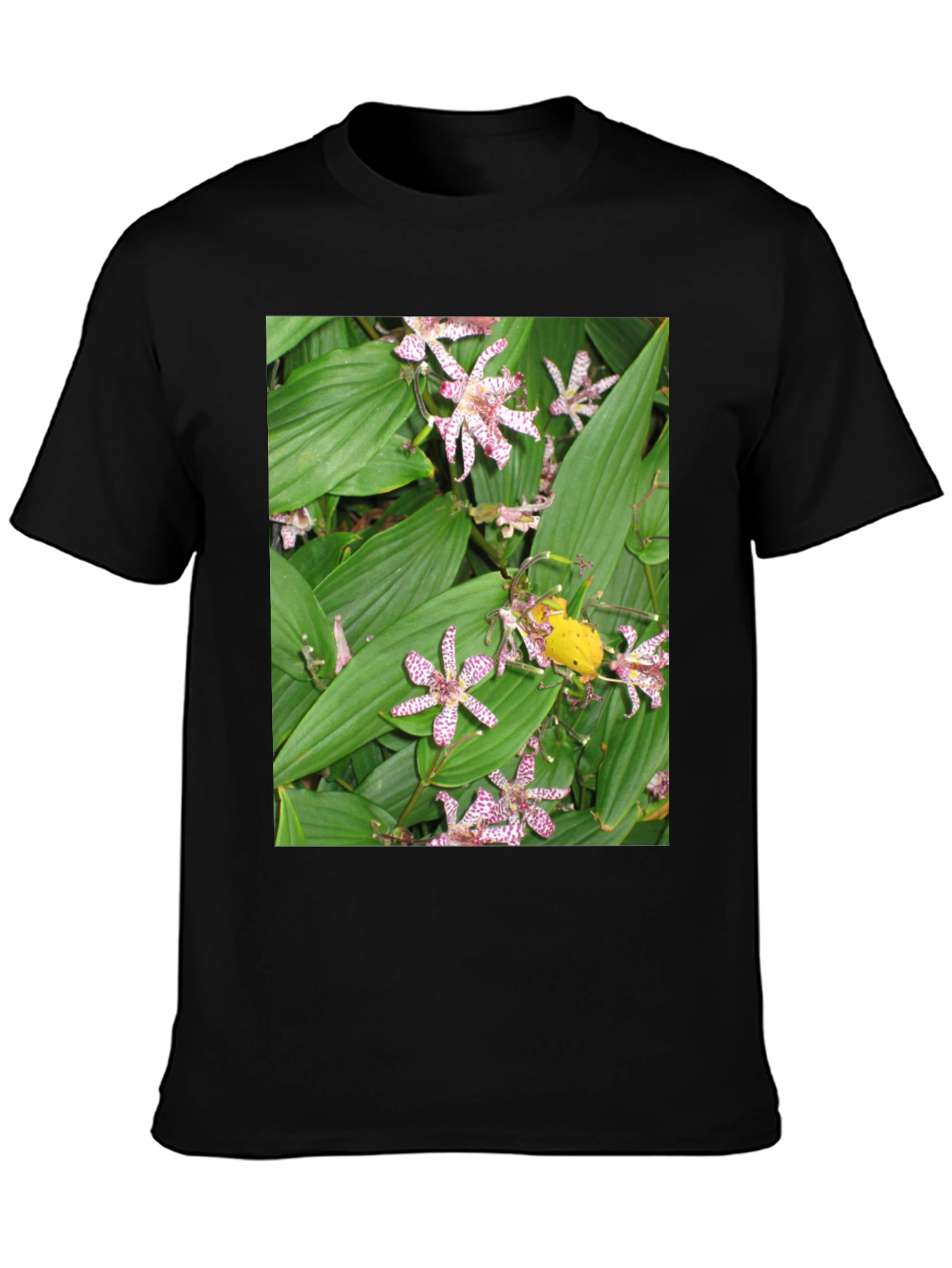 Floral Print Graphic Tee
