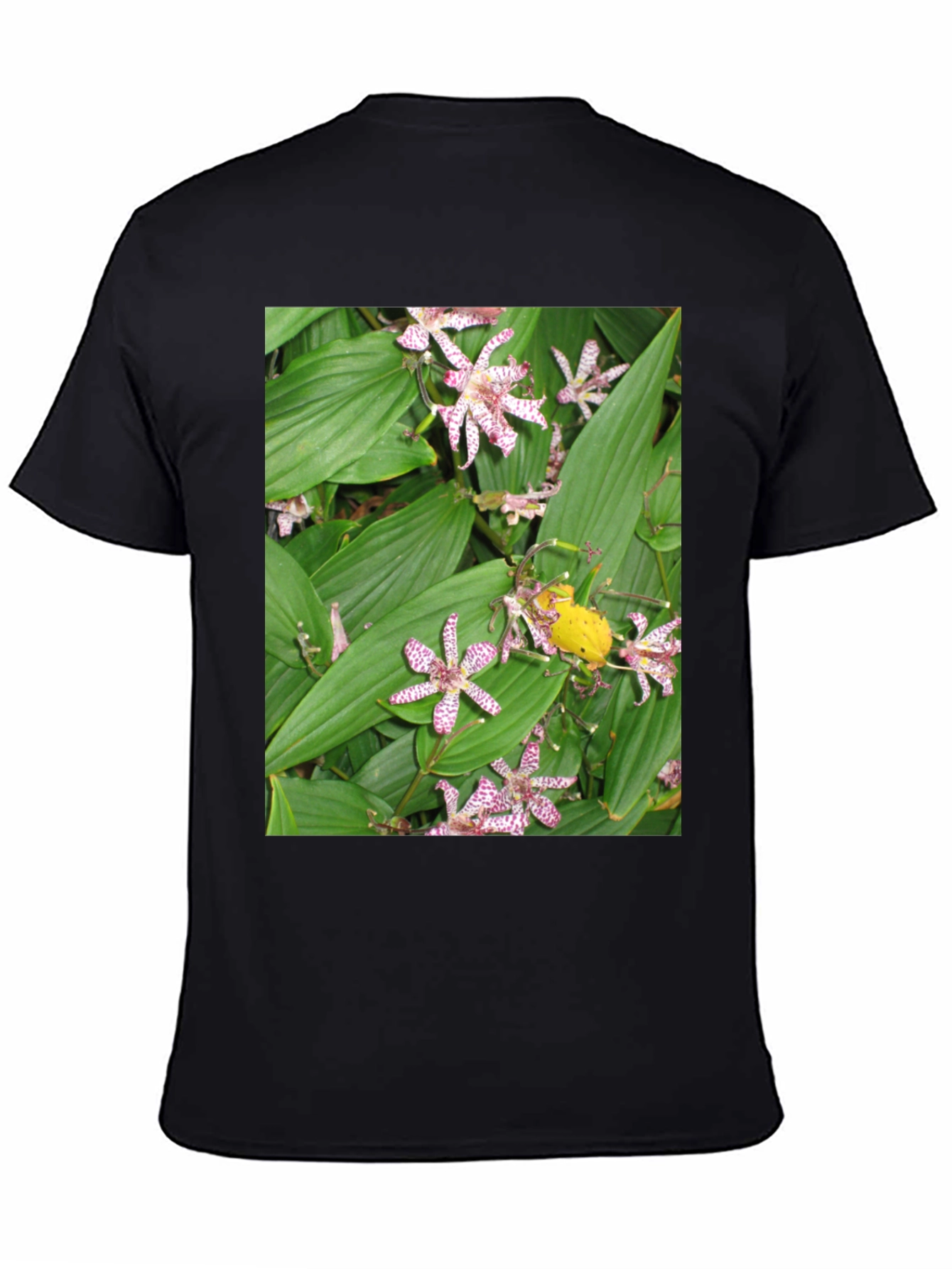 Floral Print Graphic Tee
