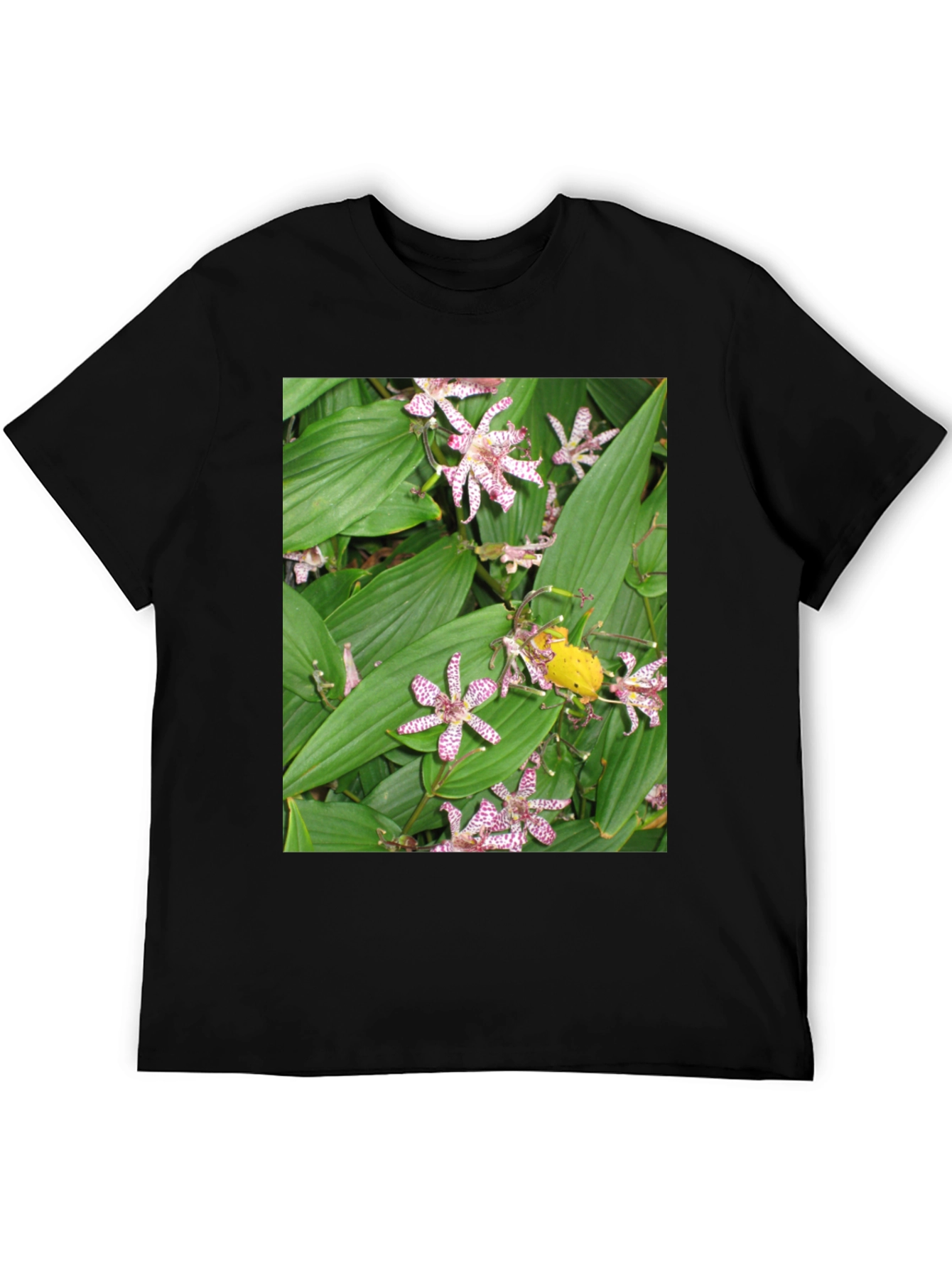Floral Print Graphic Tee