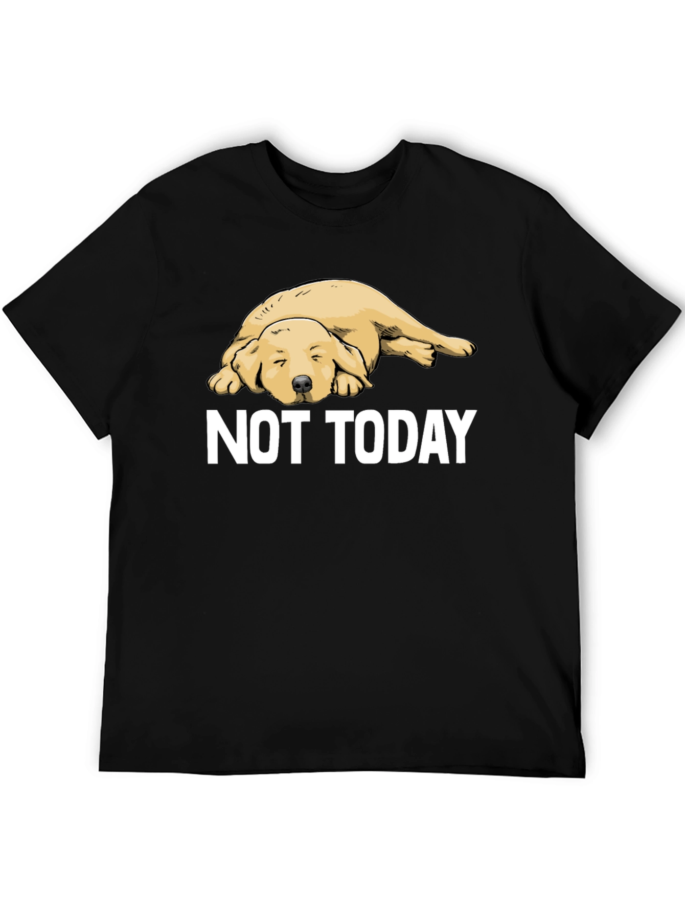 Not Today Lazy Dog Graphic Tee