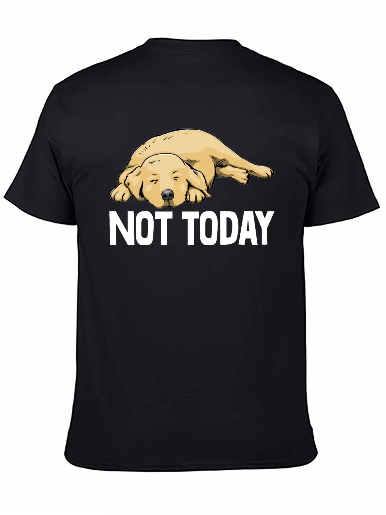 Not Today Lazy Dog Graphic Tee