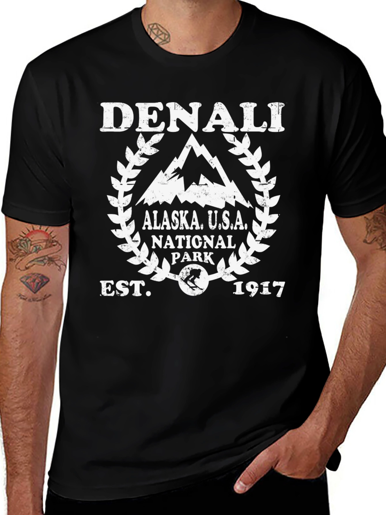 Denali National Park Alaska T-Shirt