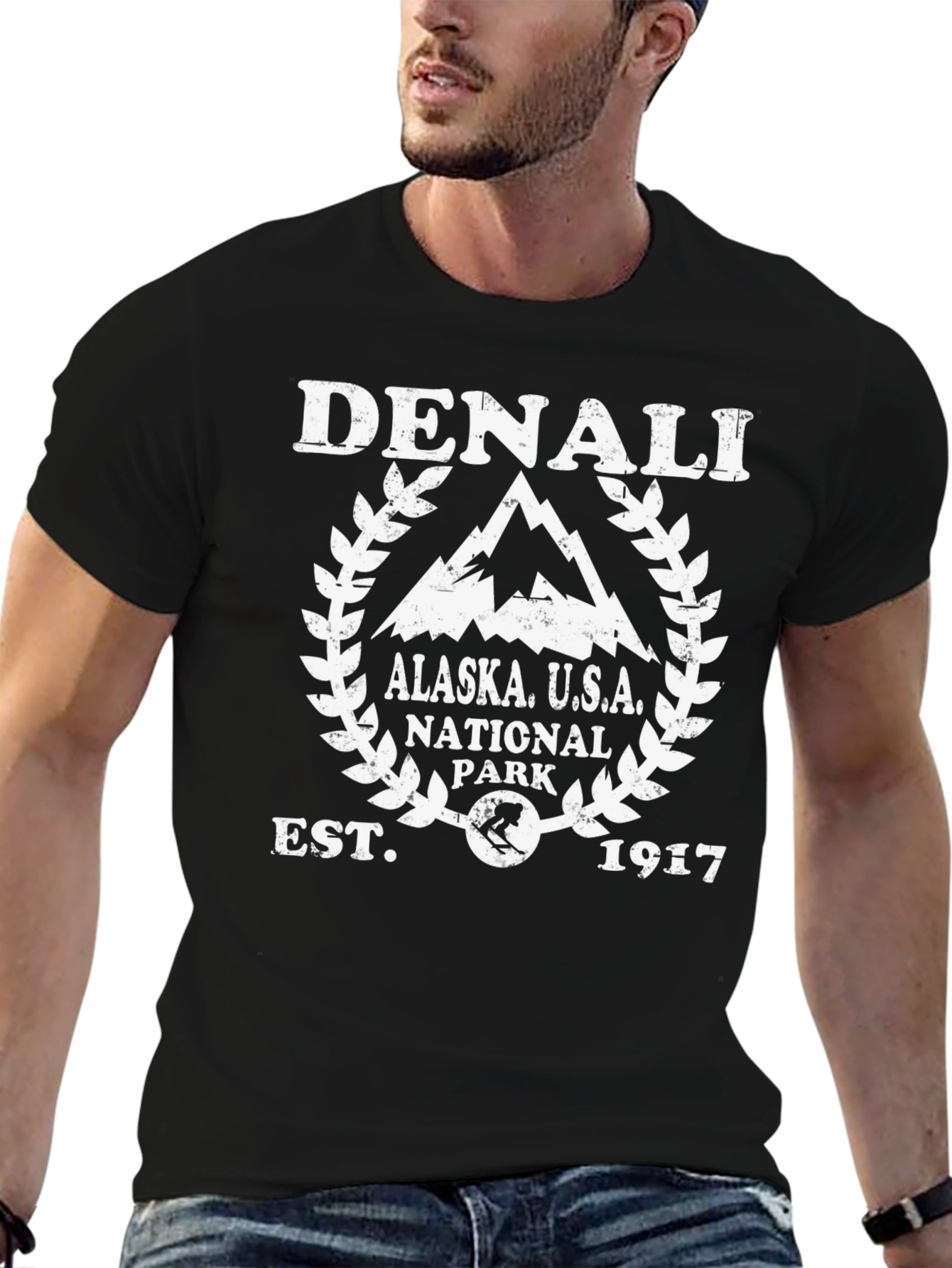 Denali National Park Alaska T-Shirt