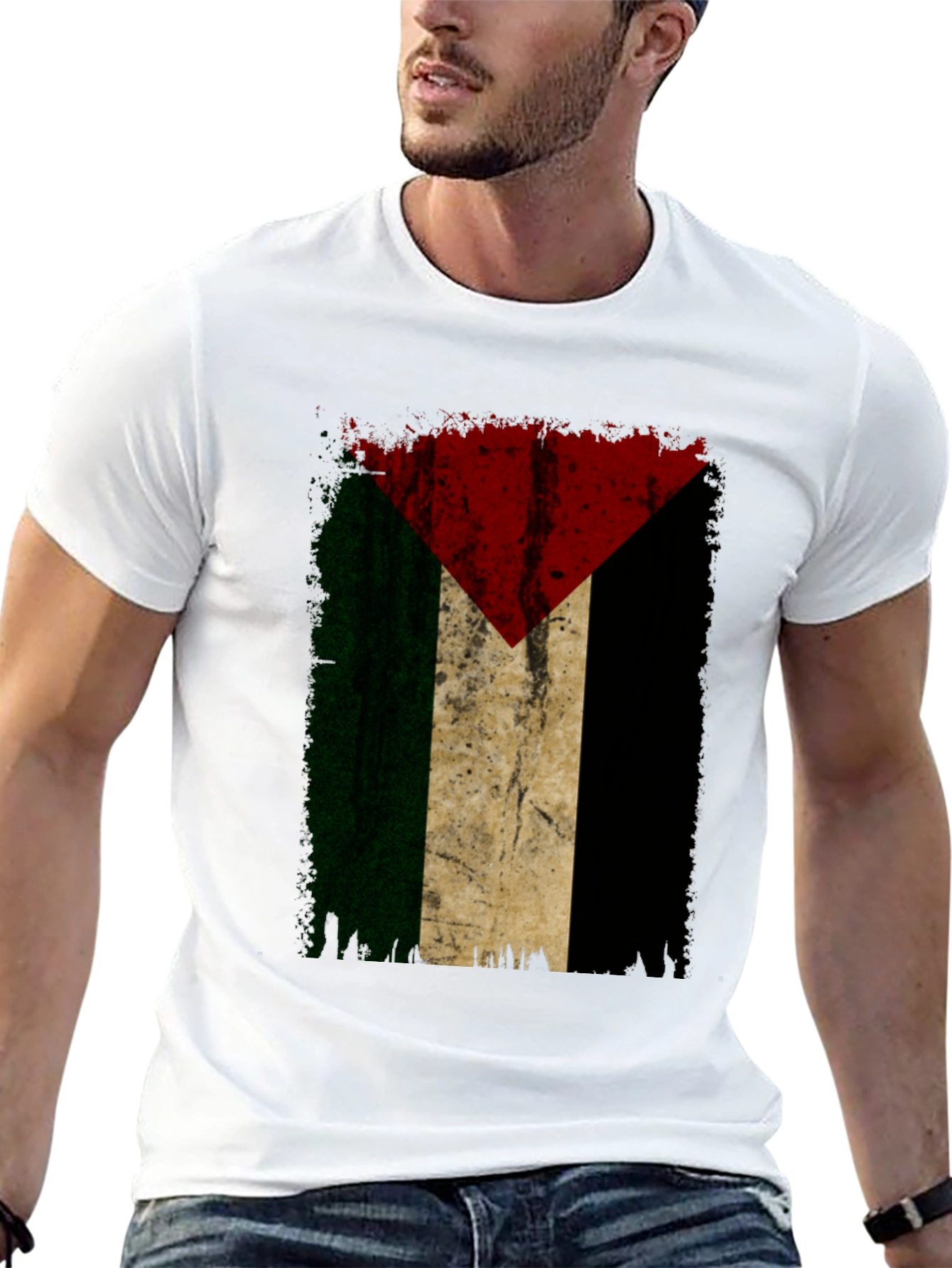 Palestine Flag Graphic Tee - Black