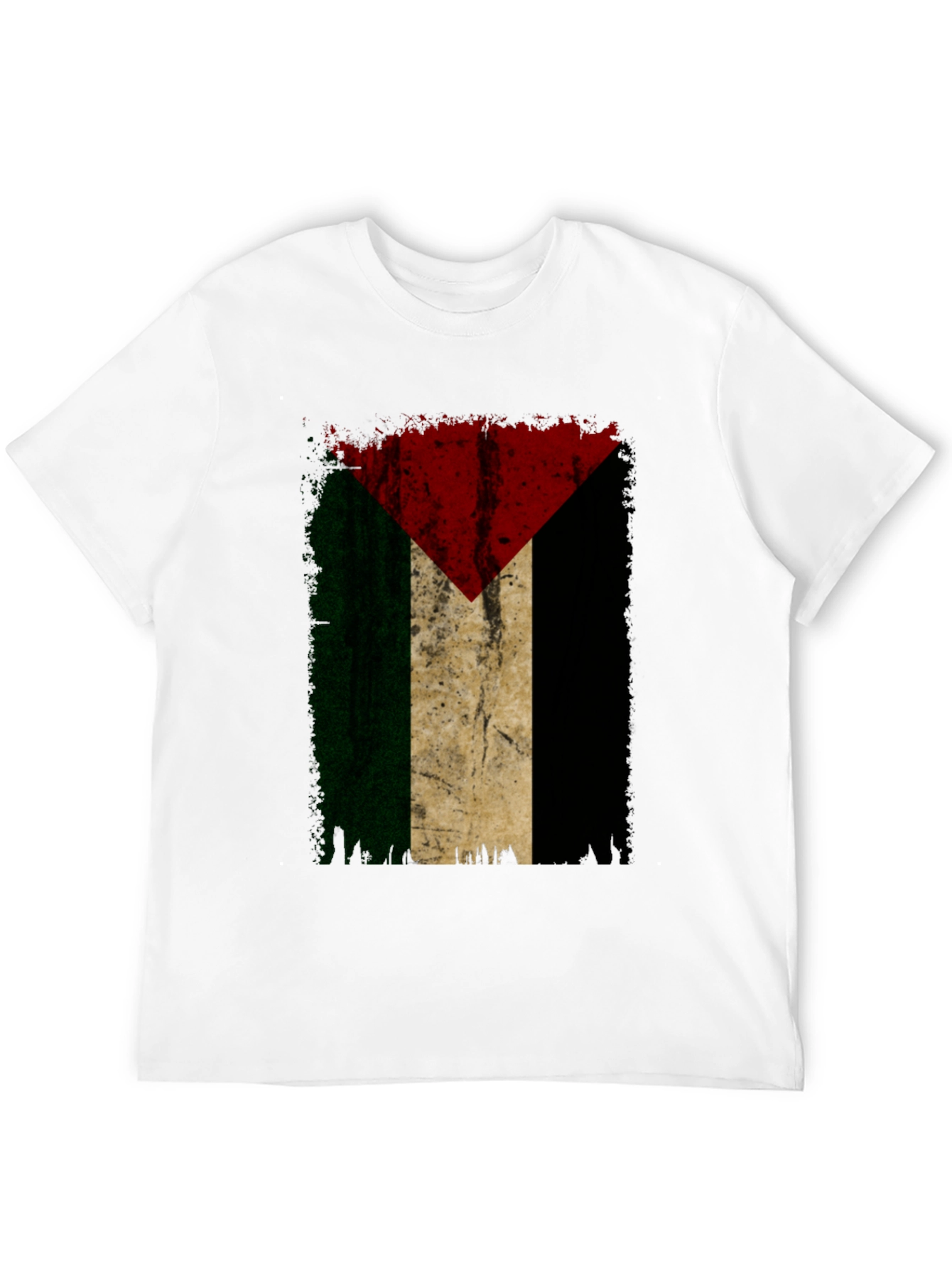 Palestine Flag Graphic Tee - Black