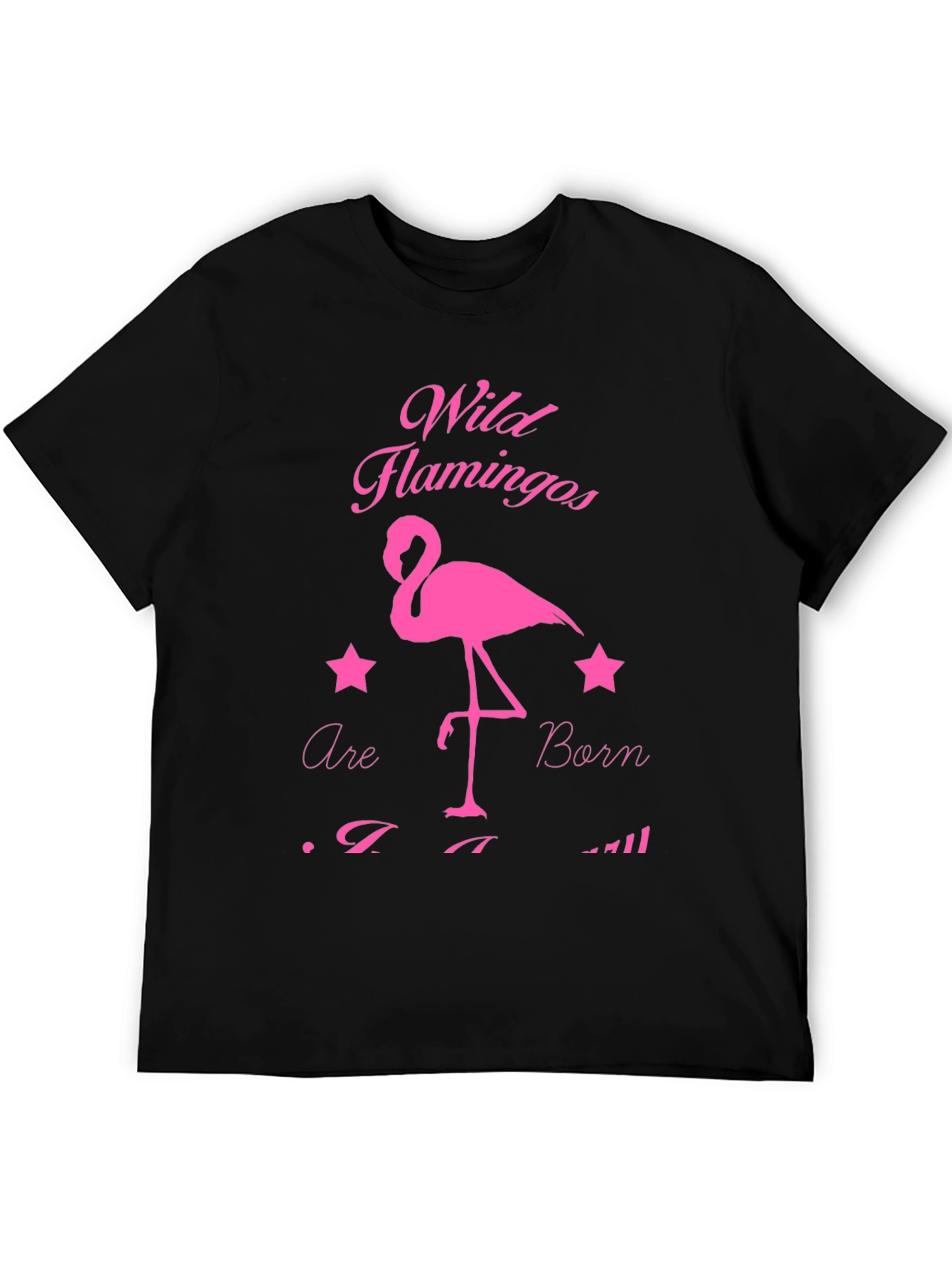 Wild Flamingos T-Shirt