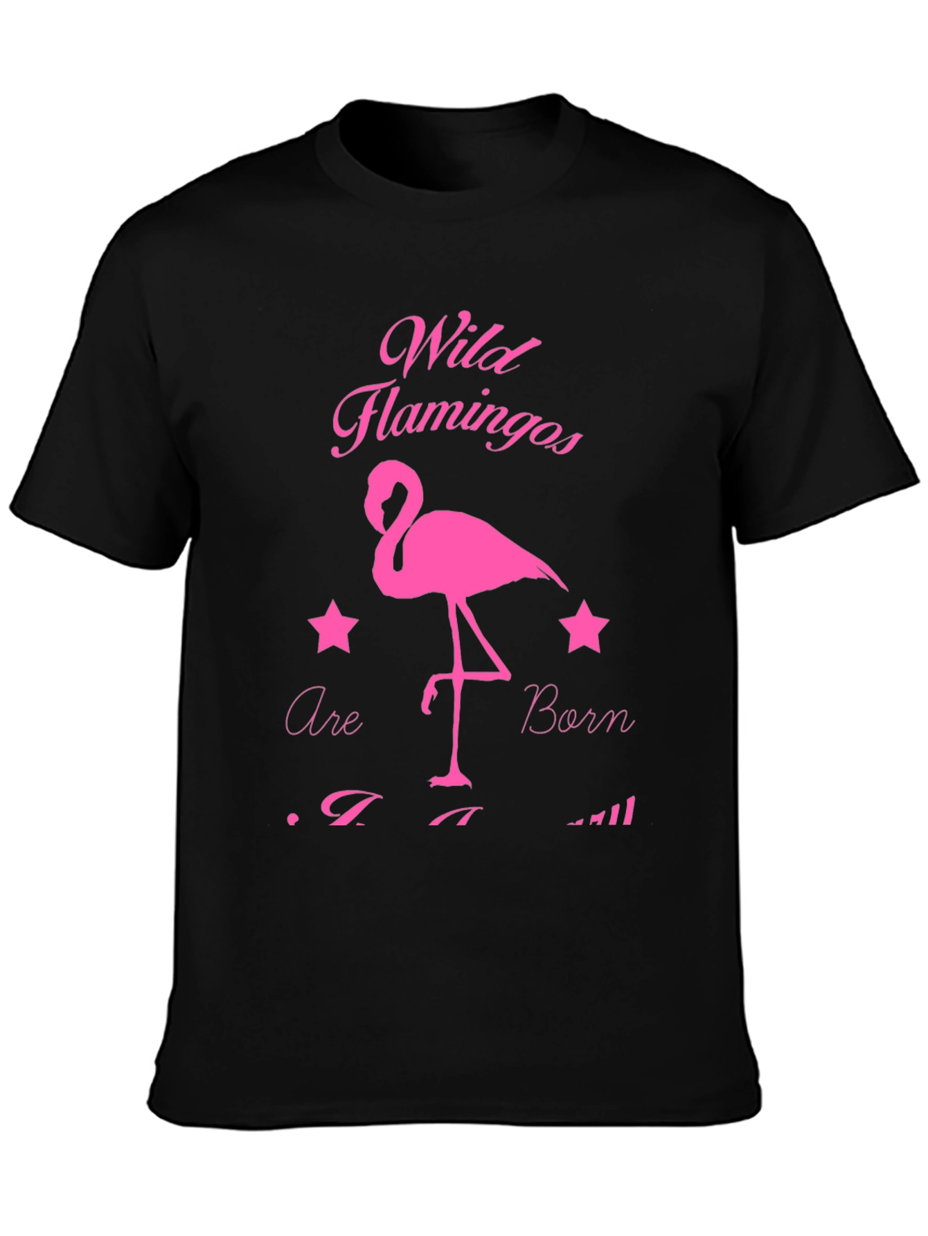 Wild Flamingos T-Shirt