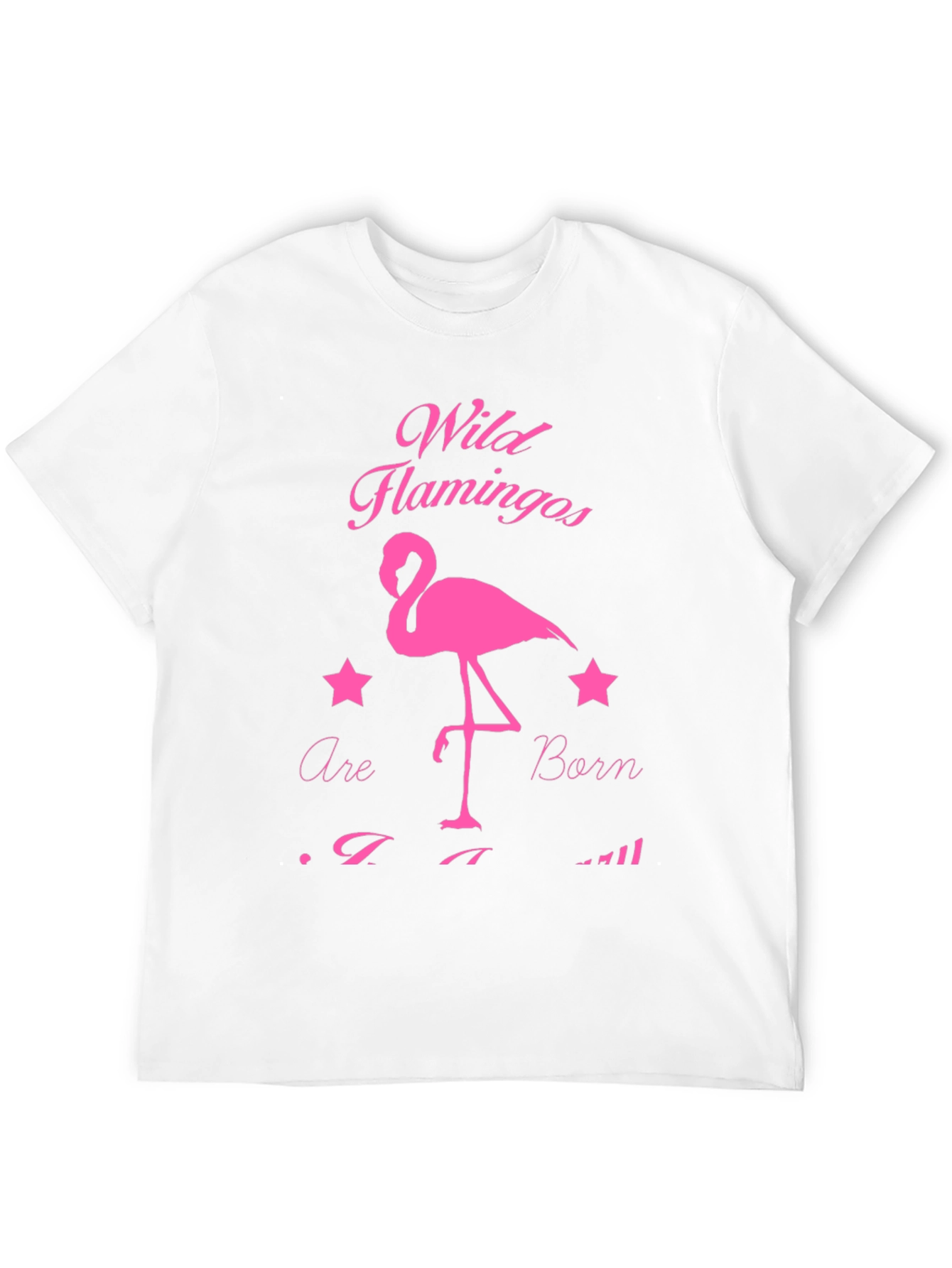 Wild Flamingos T-Shirt