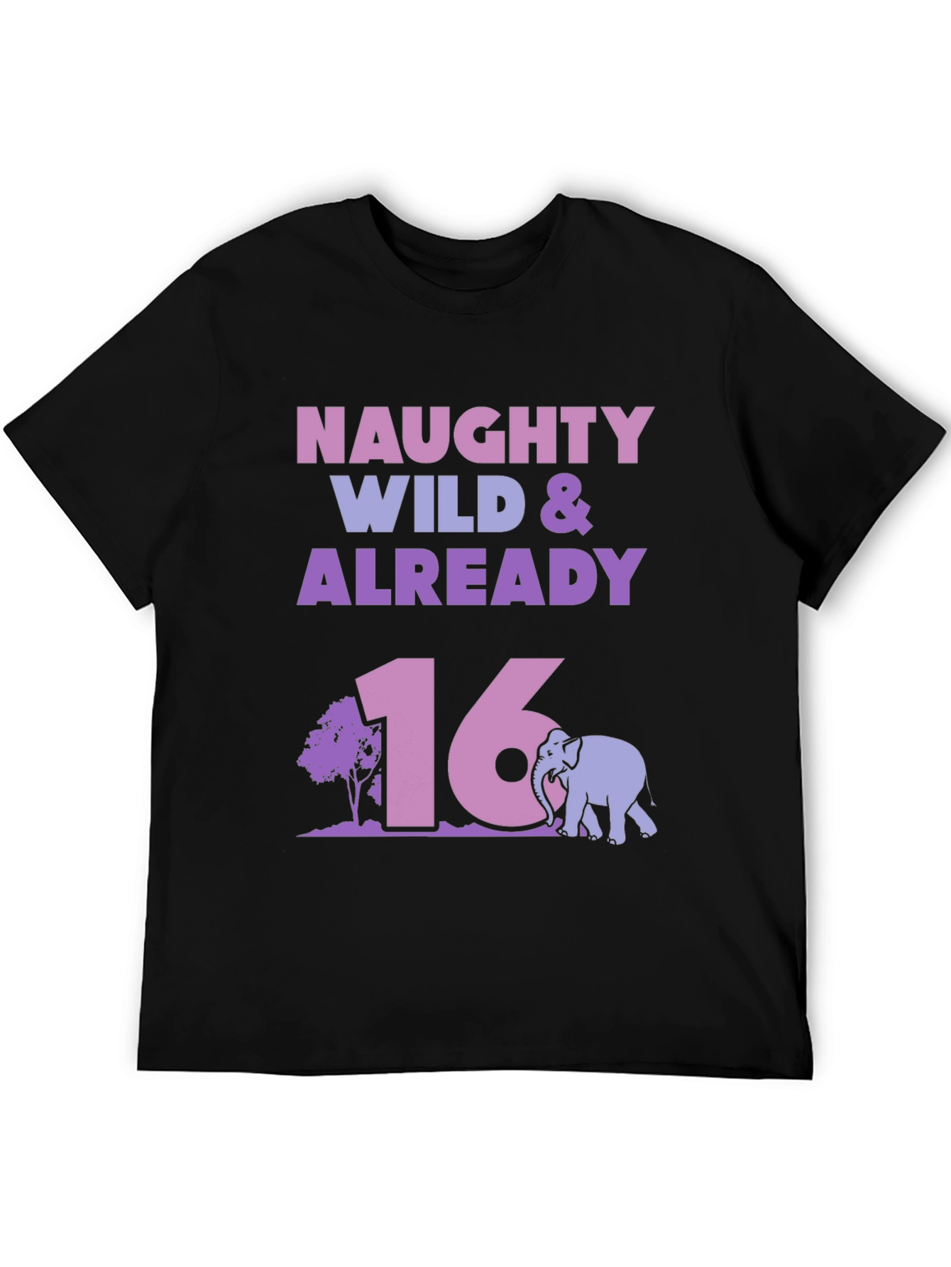 Naughty Wild & Already 16 Birthday T-Shirt