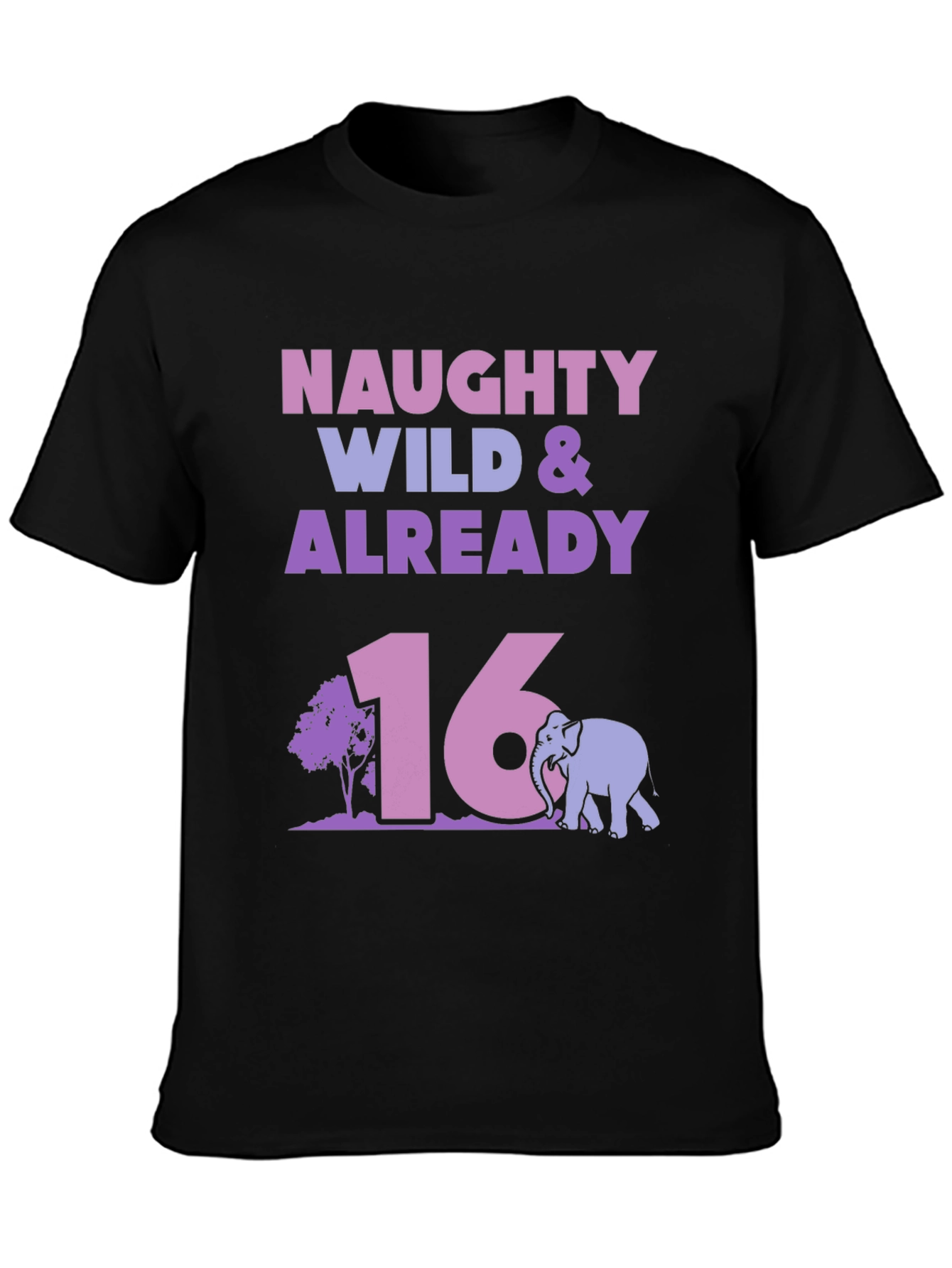 Naughty Wild & Already 16 Birthday T-Shirt