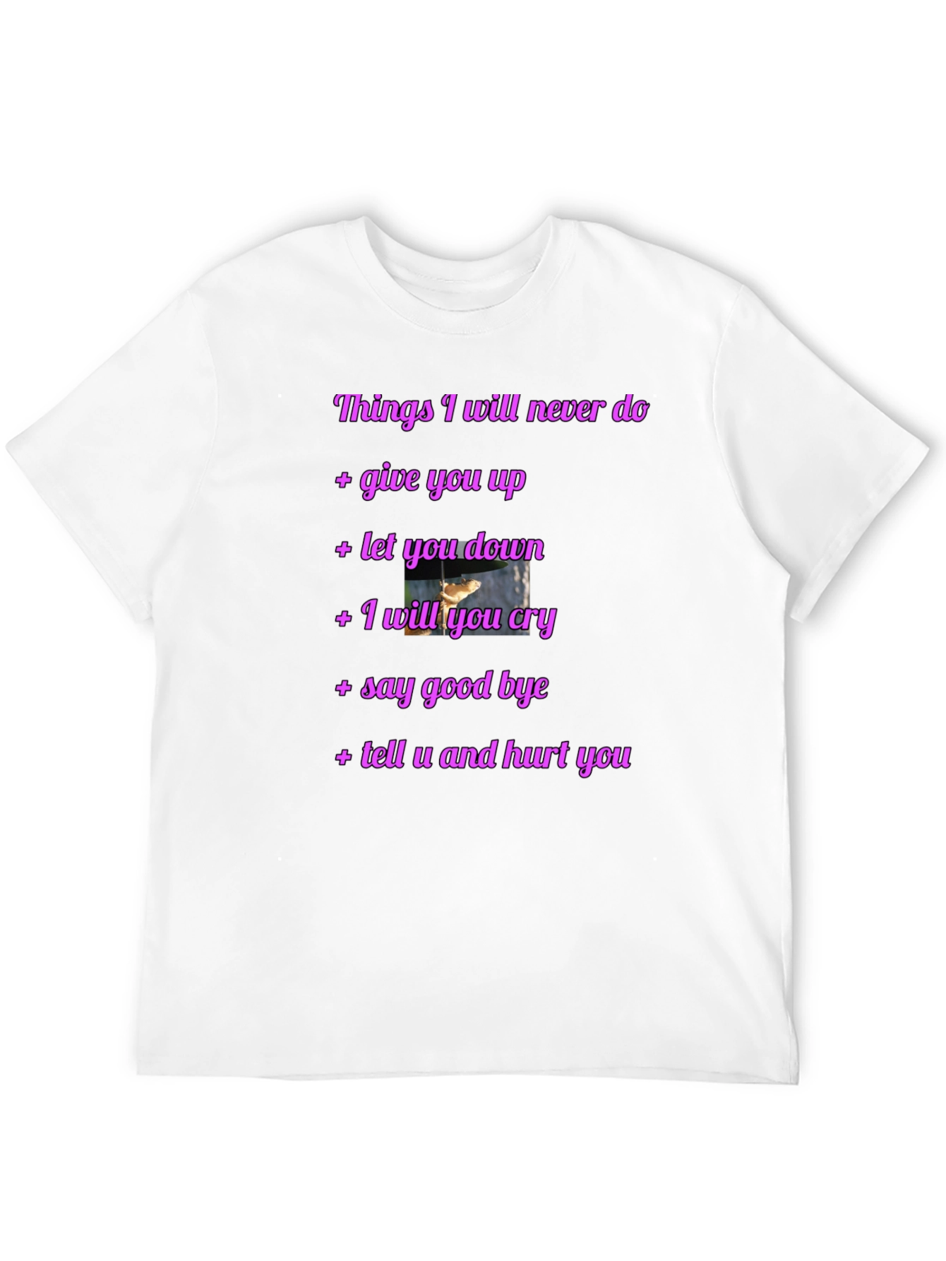 Rick Roll Never Gonna Give You Up Funny T-Shirt