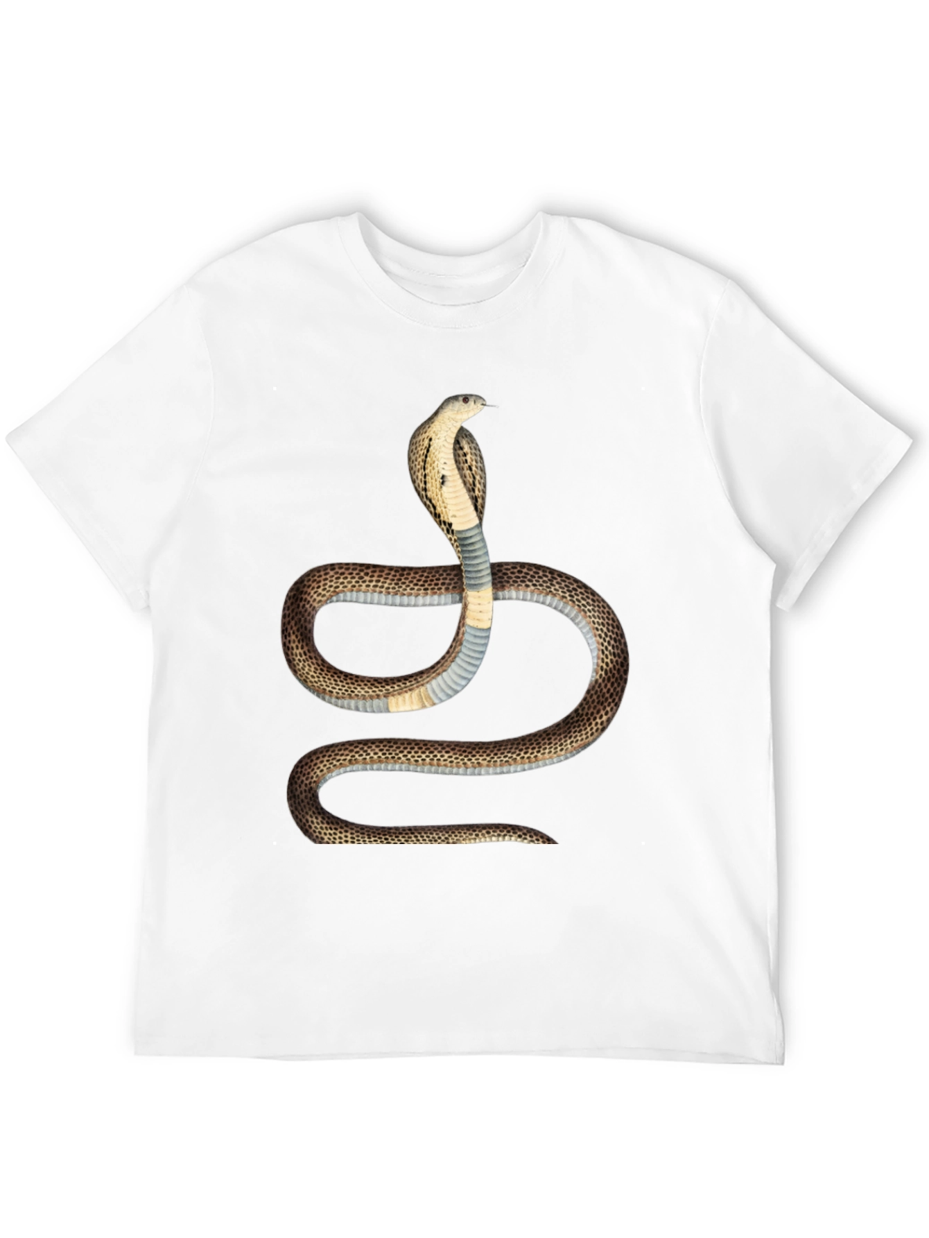 Cobra Graphic T-Shirt - Bold Snake Design