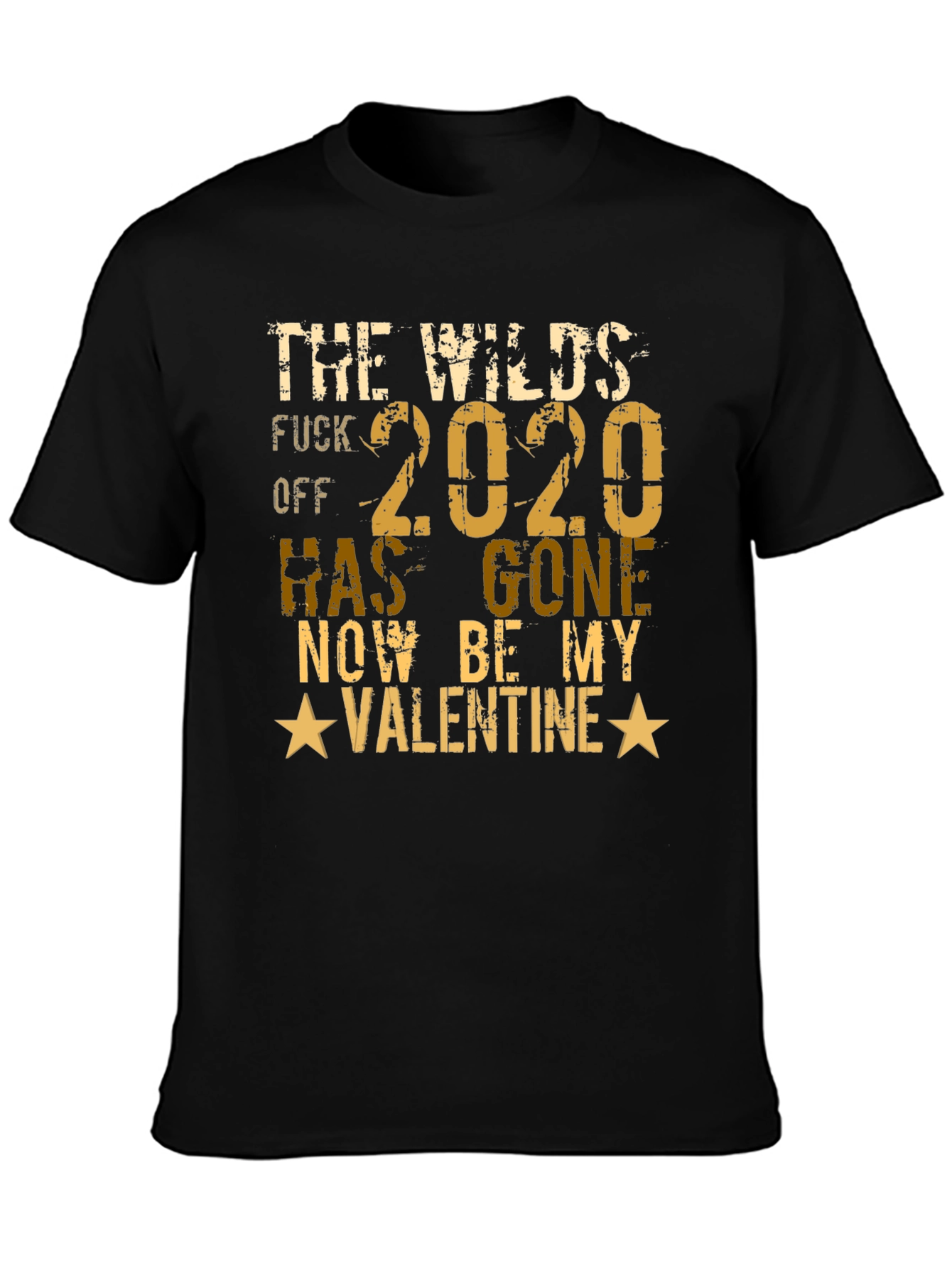 Funny Valentines Day T-Shirt
