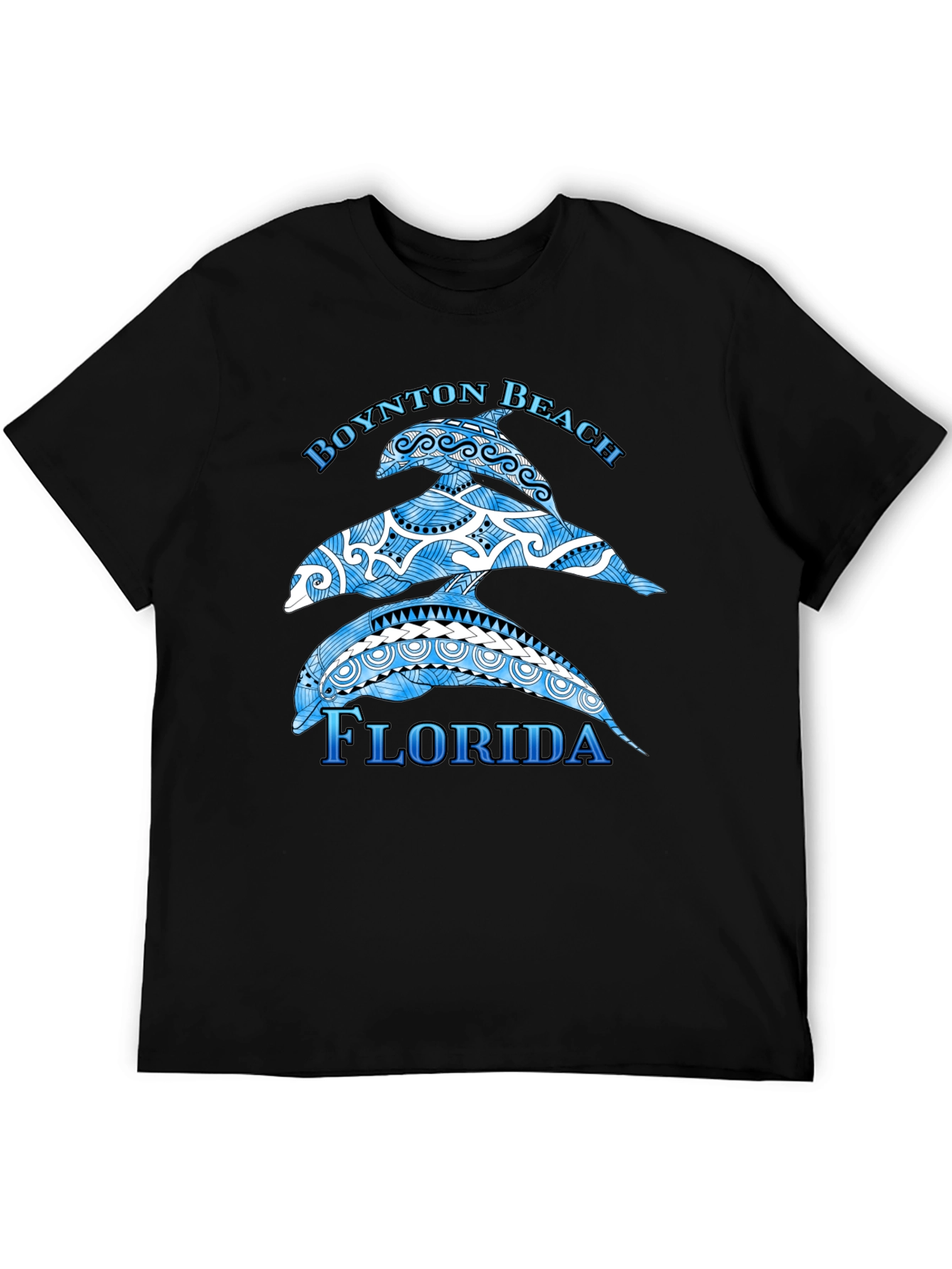 Boynton Beach Florida Dolphin Graphic T-Shirt