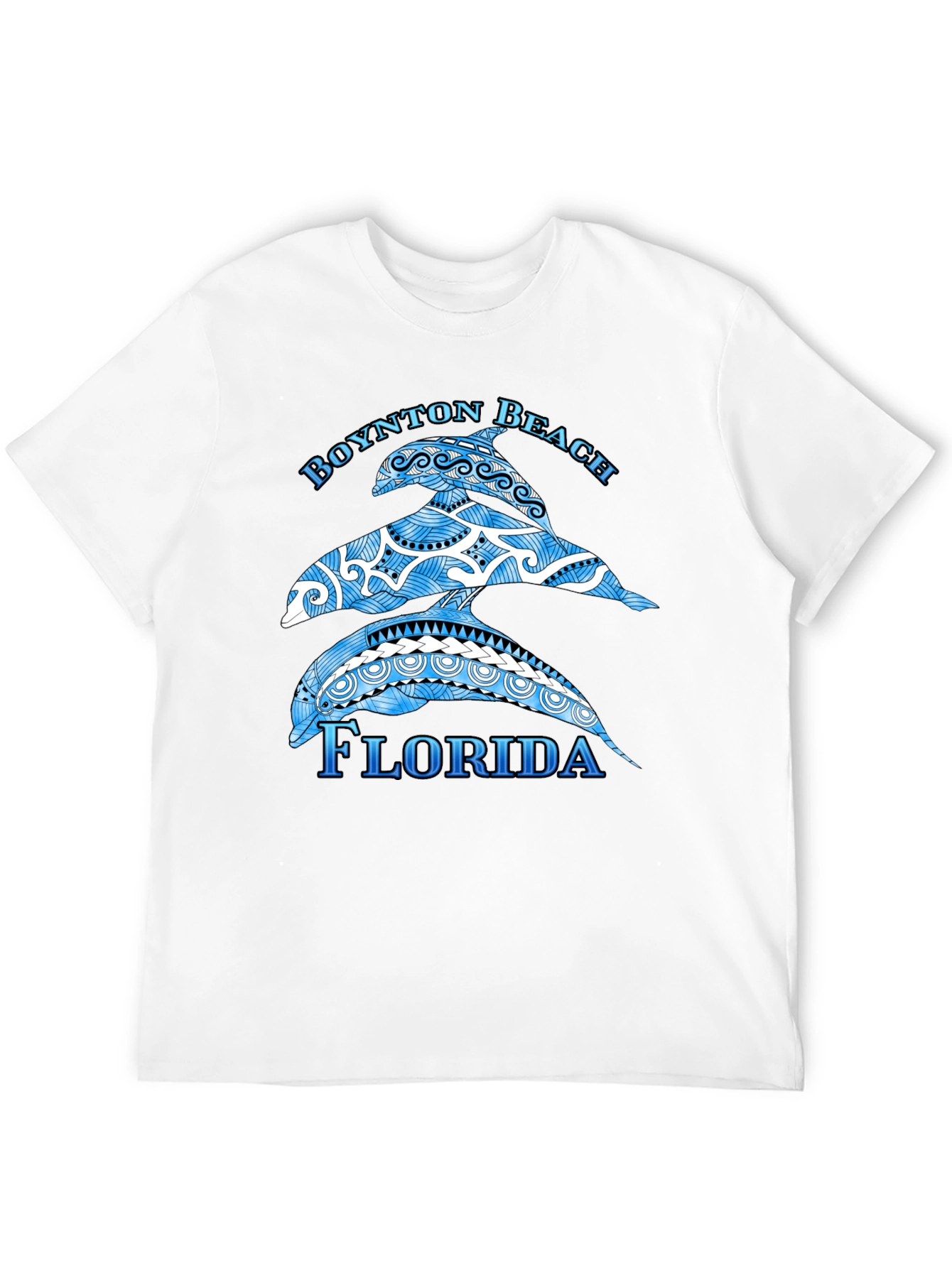 Boynton Beach Florida Dolphin Graphic T-Shirt