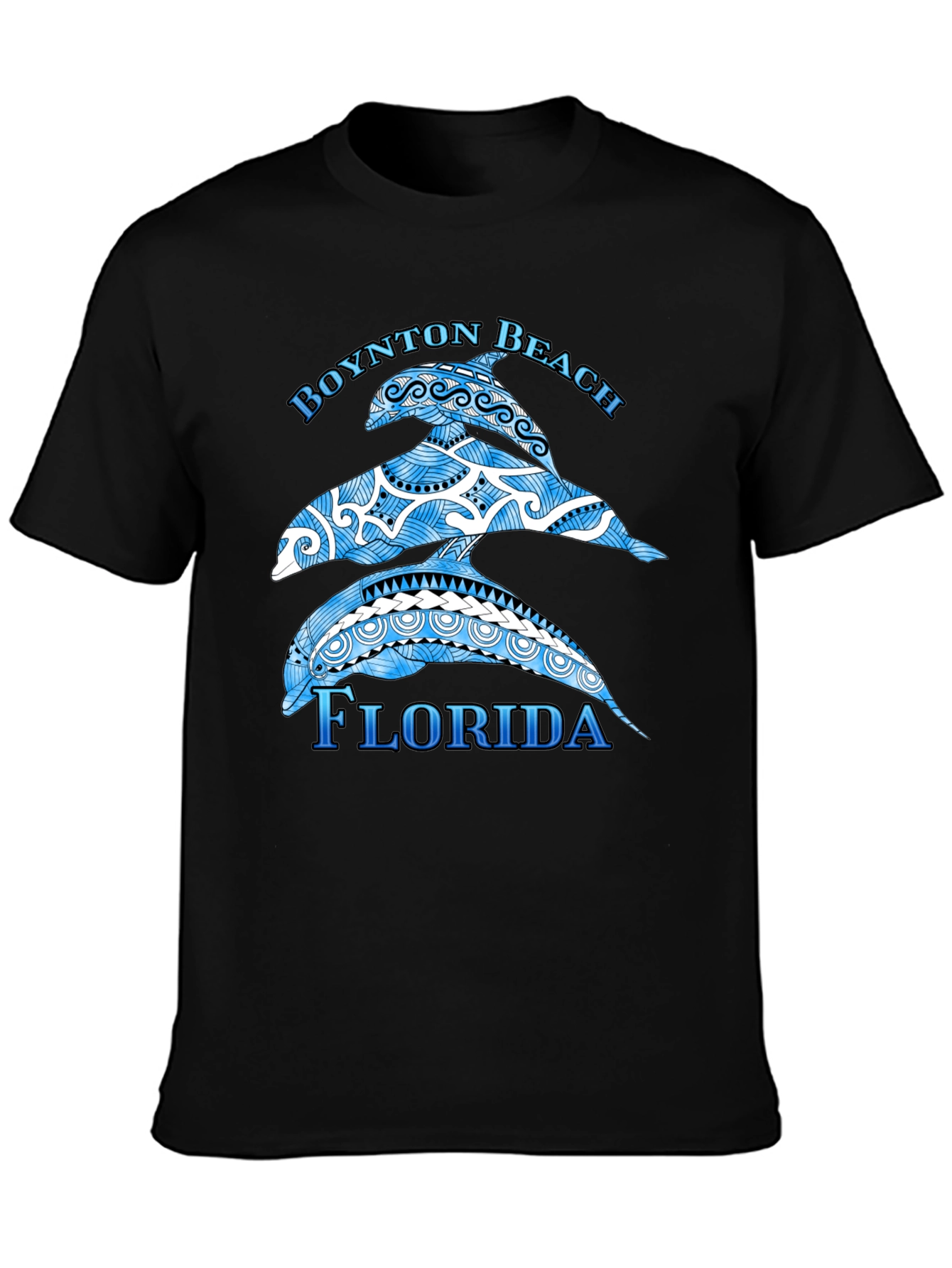 Boynton Beach Florida Dolphin Graphic T-Shirt
