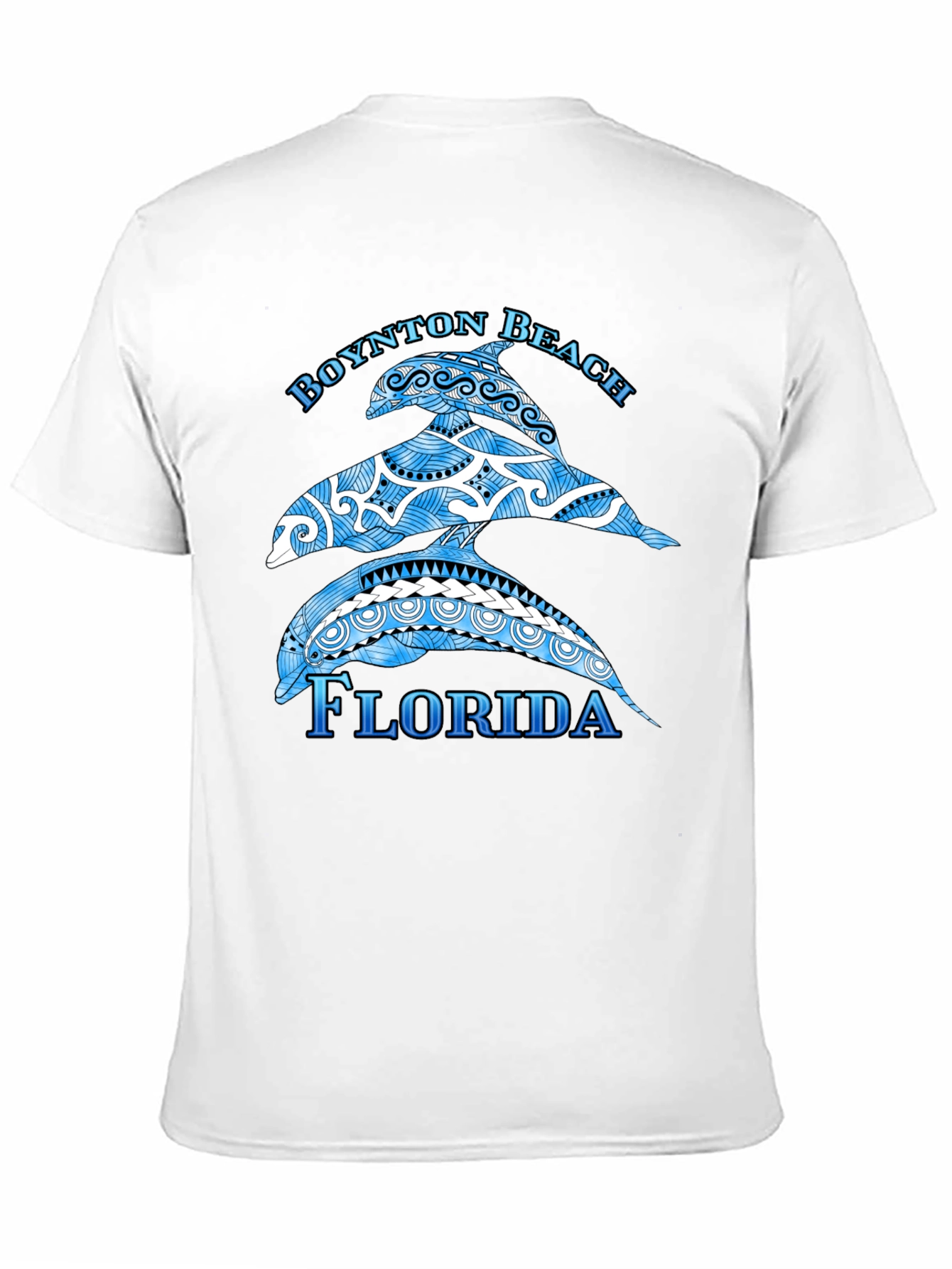 Boynton Beach Florida Dolphin Graphic T-Shirt
