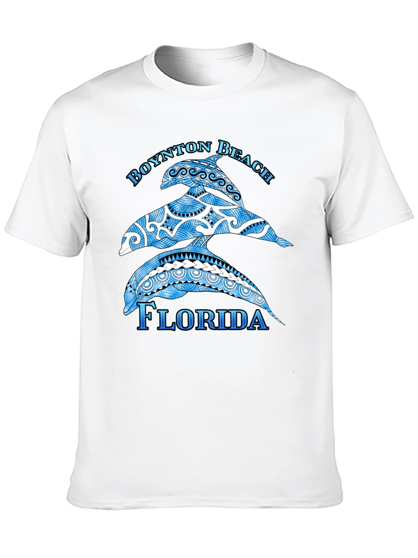 Boynton Beach Florida Dolphin Graphic T-Shirt
