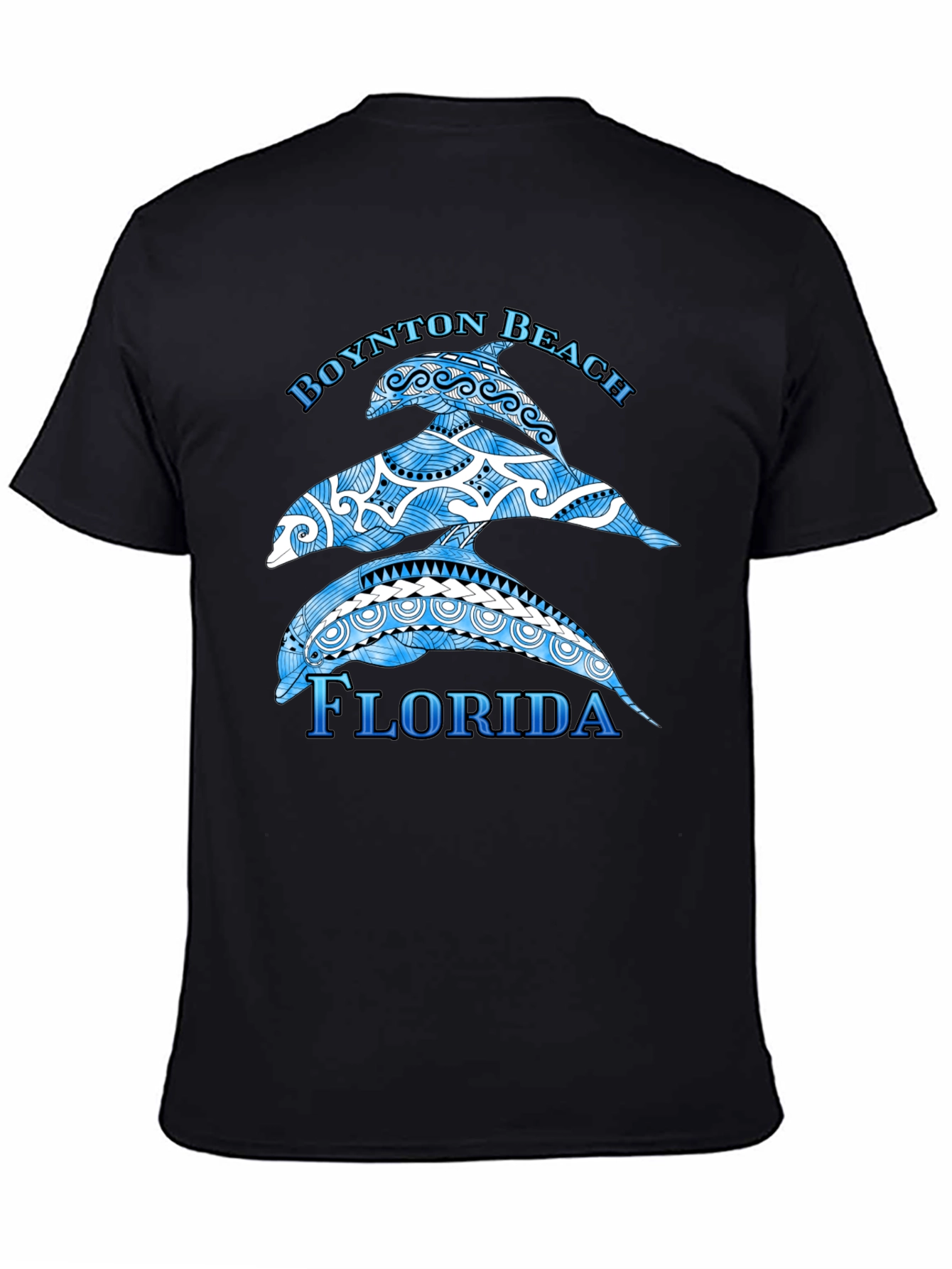 Boynton Beach Florida Dolphin Graphic T-Shirt