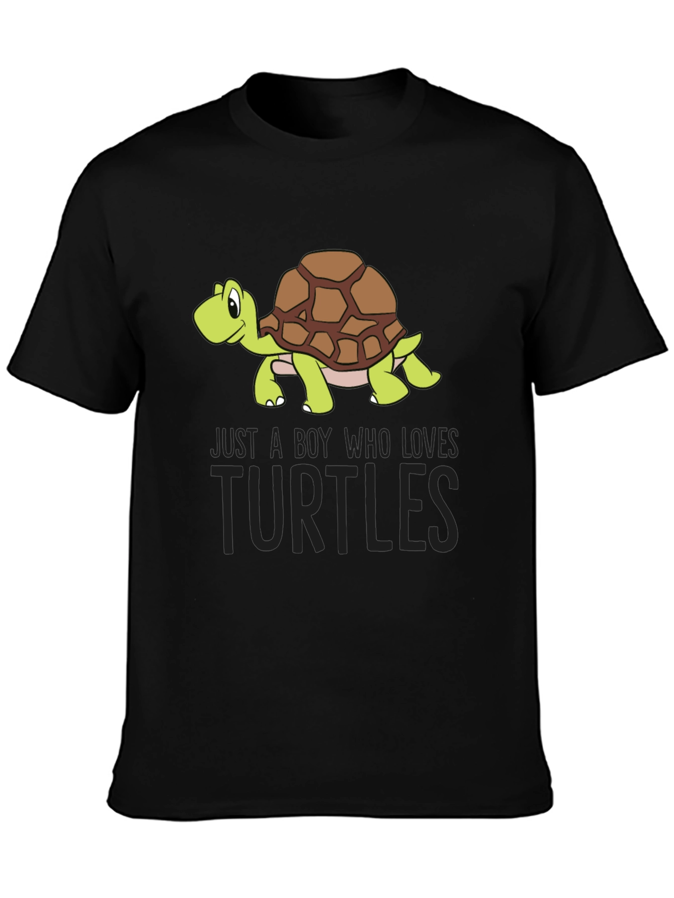 Boys Turtle Lover Graphic Tee - Cute Turtle Design