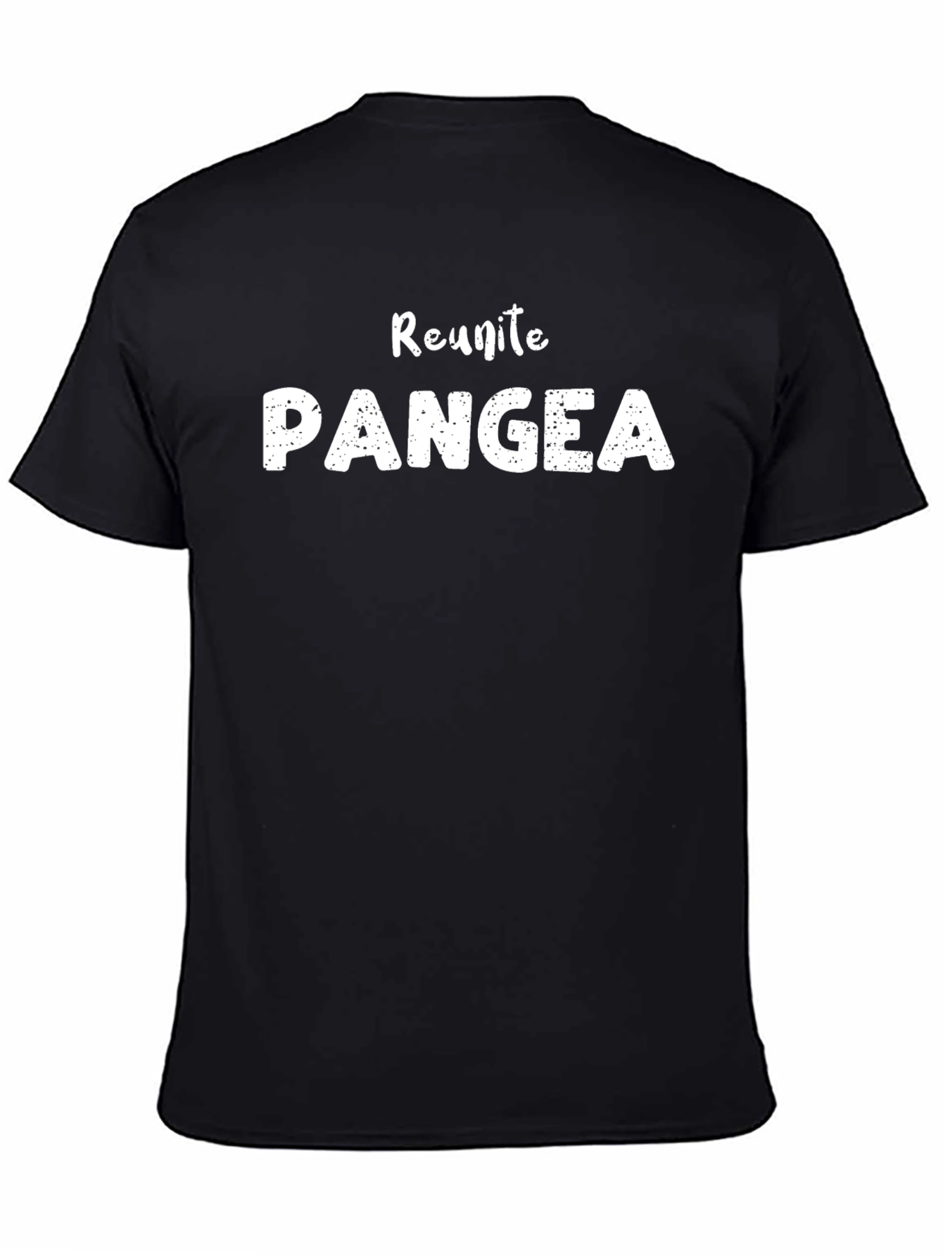Reunite Pangea Funny Graphic Tee