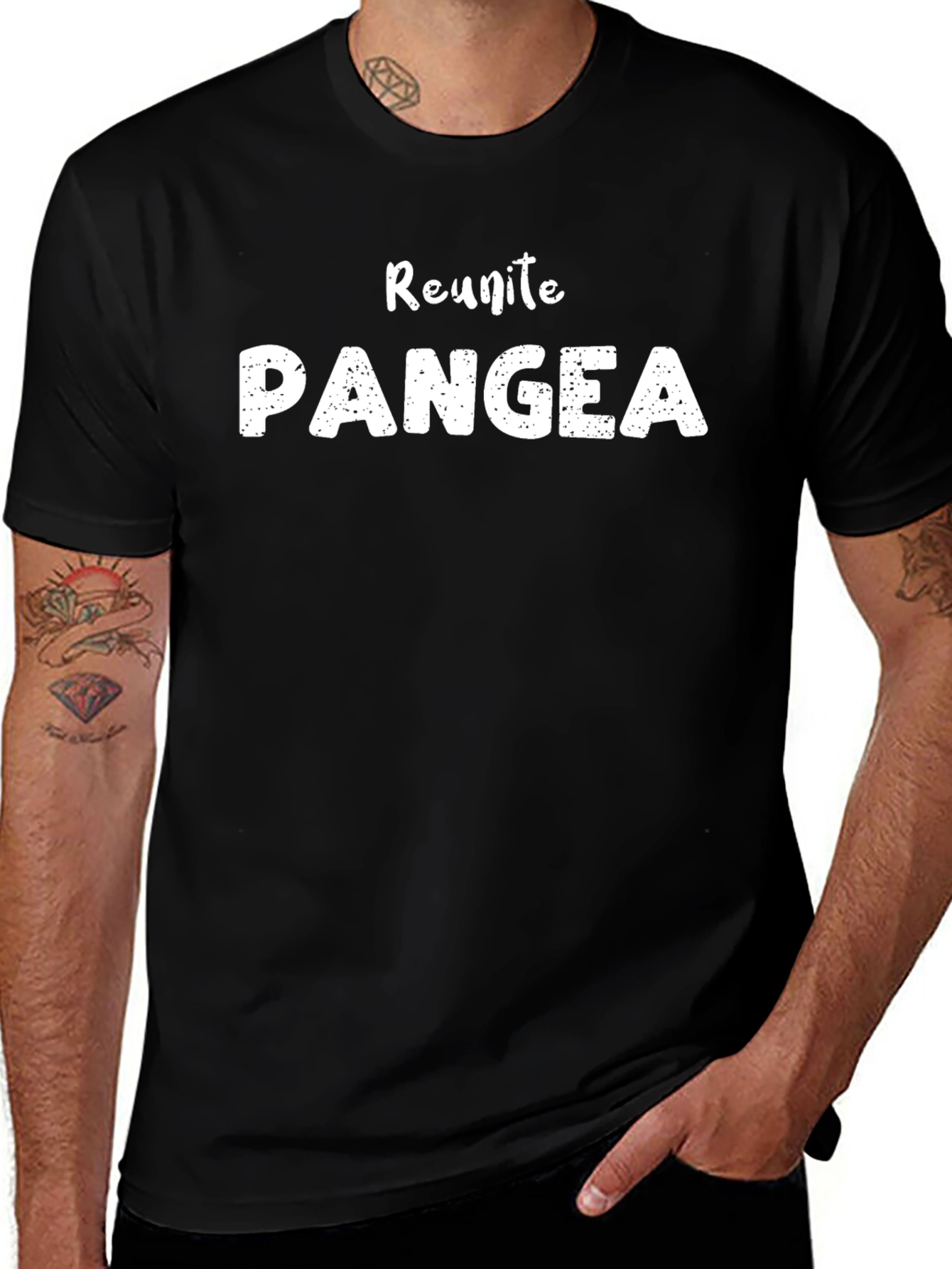 Reunite Pangea Funny Graphic Tee