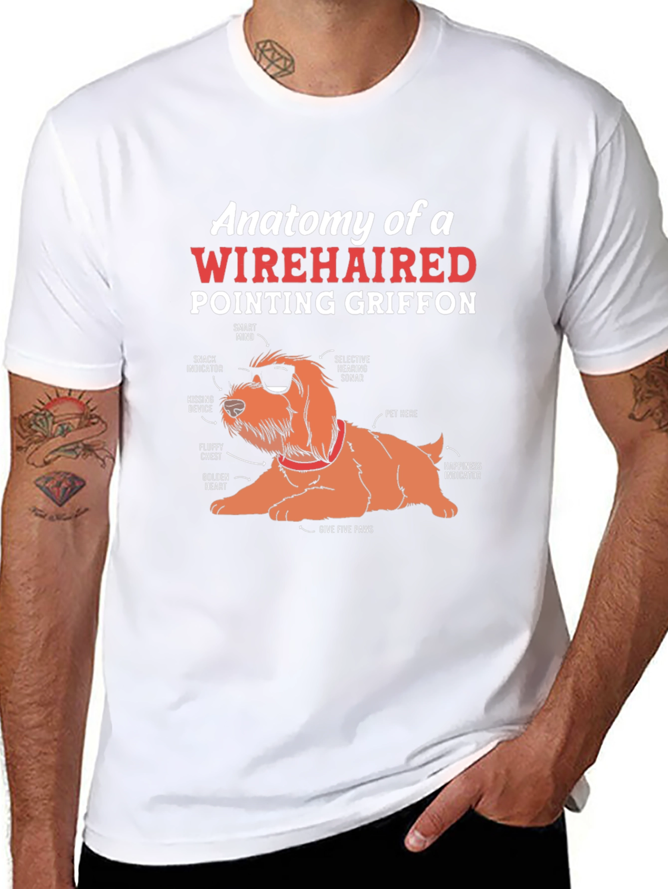 Wirehaired Pointing Griffon Anatomy T-Shirt