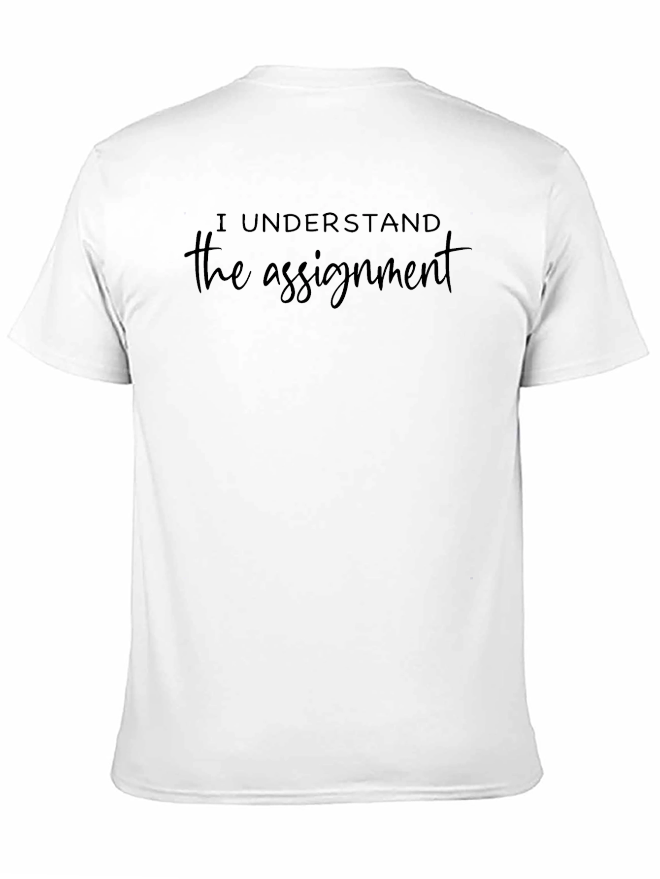 I Understand the Assignment Graphic Tee