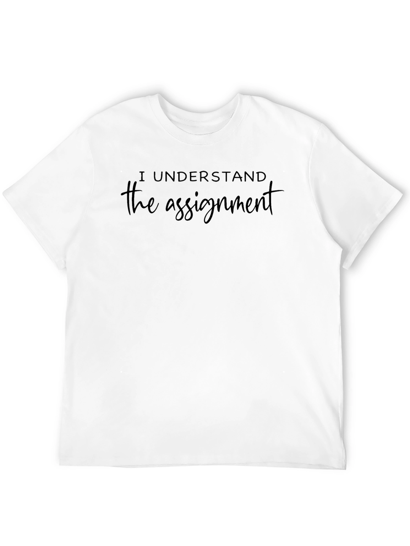 I Understand the Assignment Graphic Tee